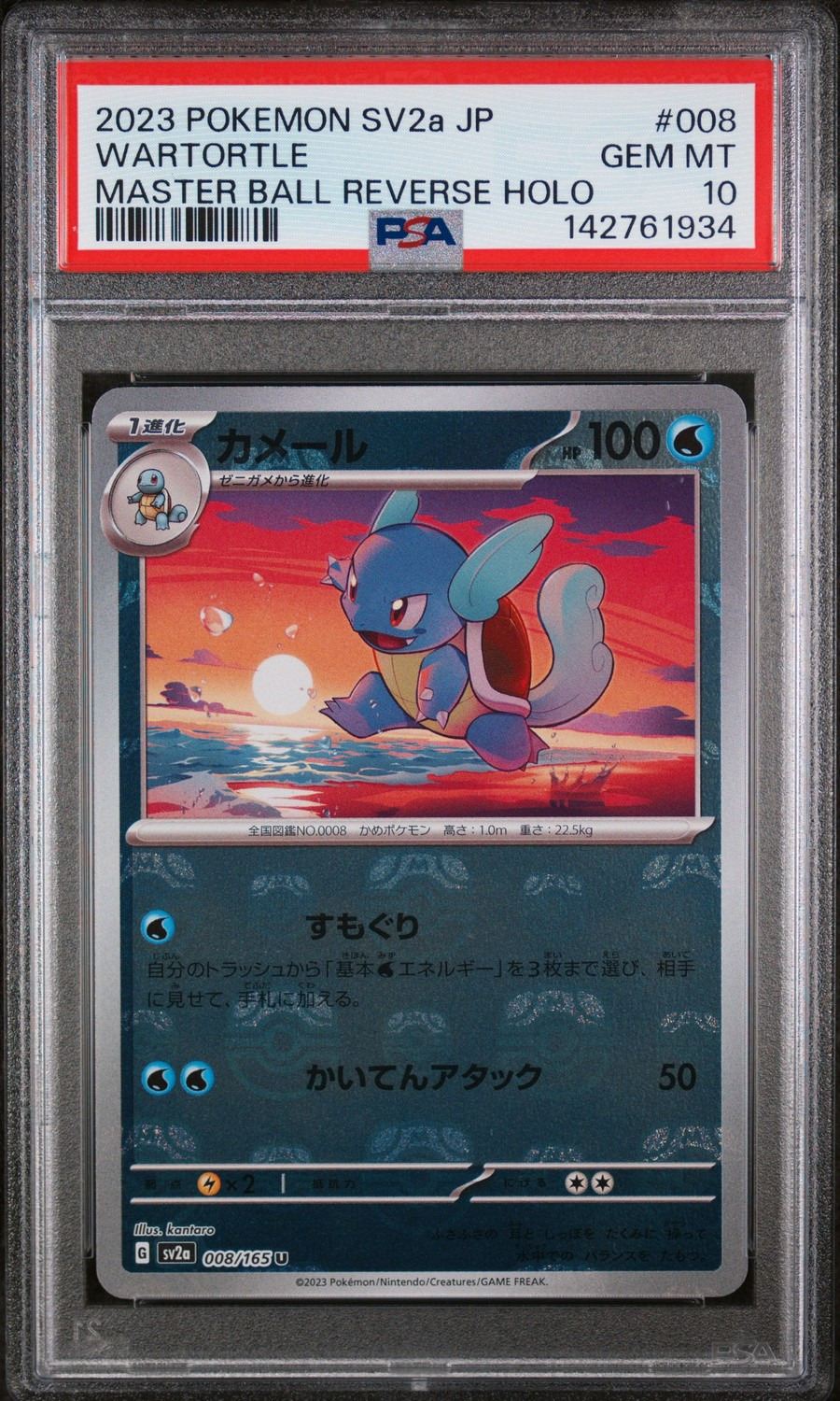 Wartortle