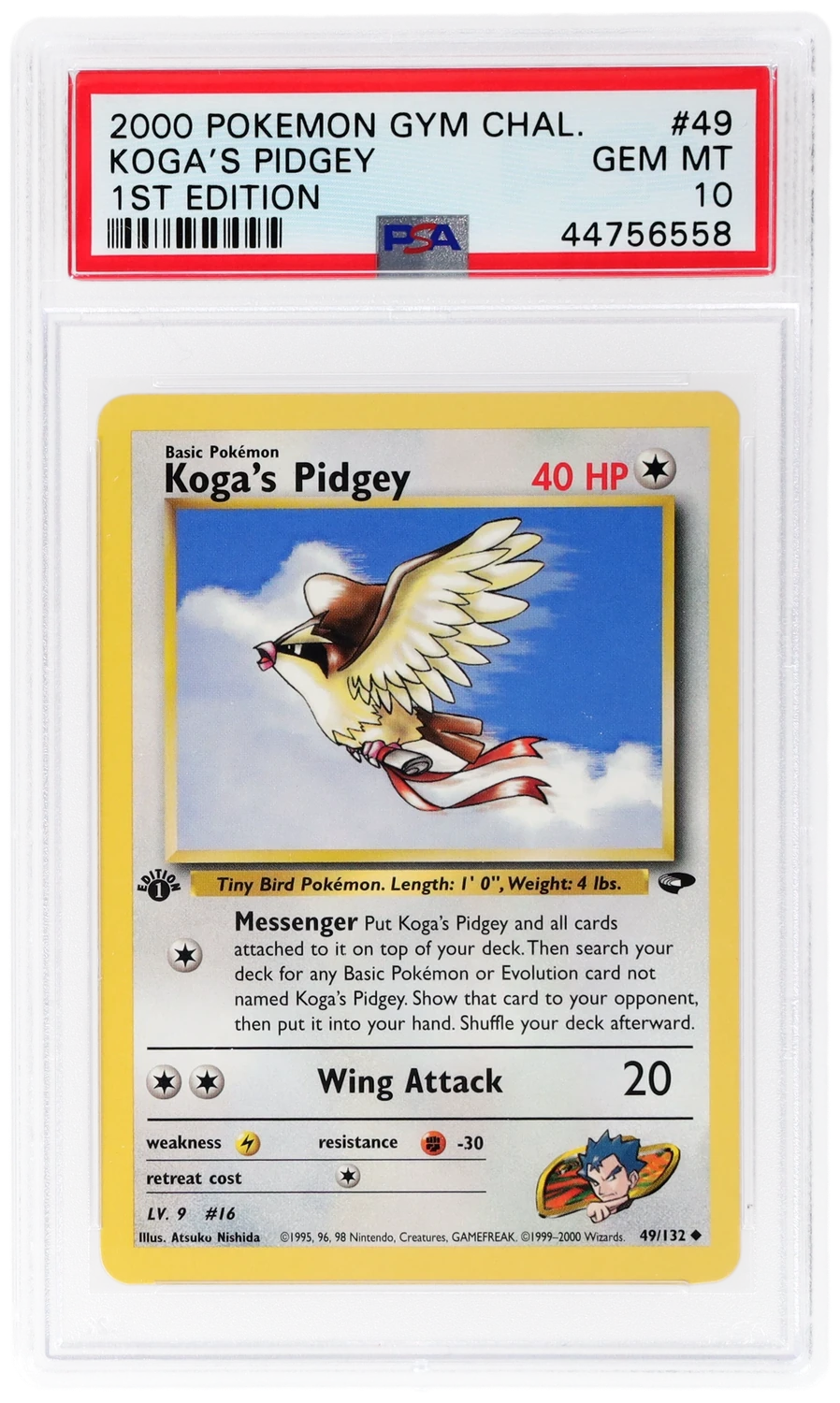 Koga's Pidgey