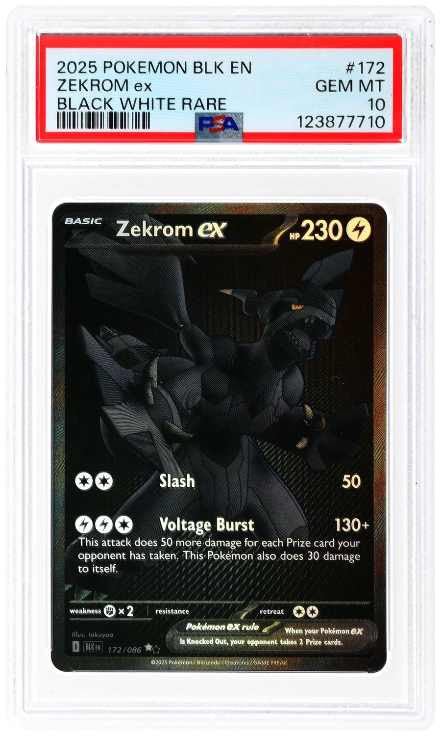 ZEKROM ex