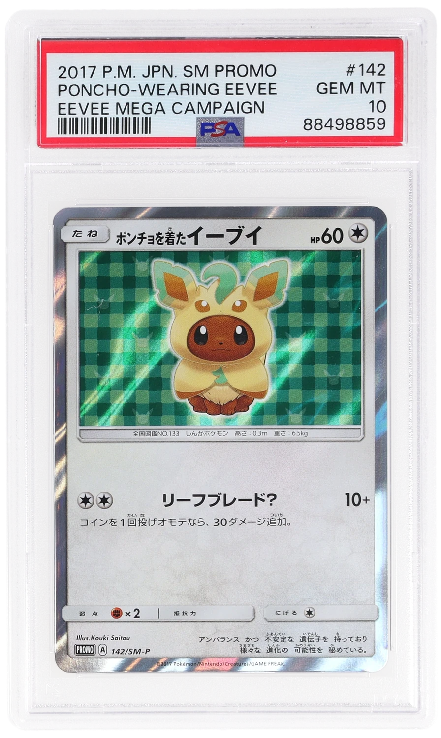 Poncho-Wearing Eevee
