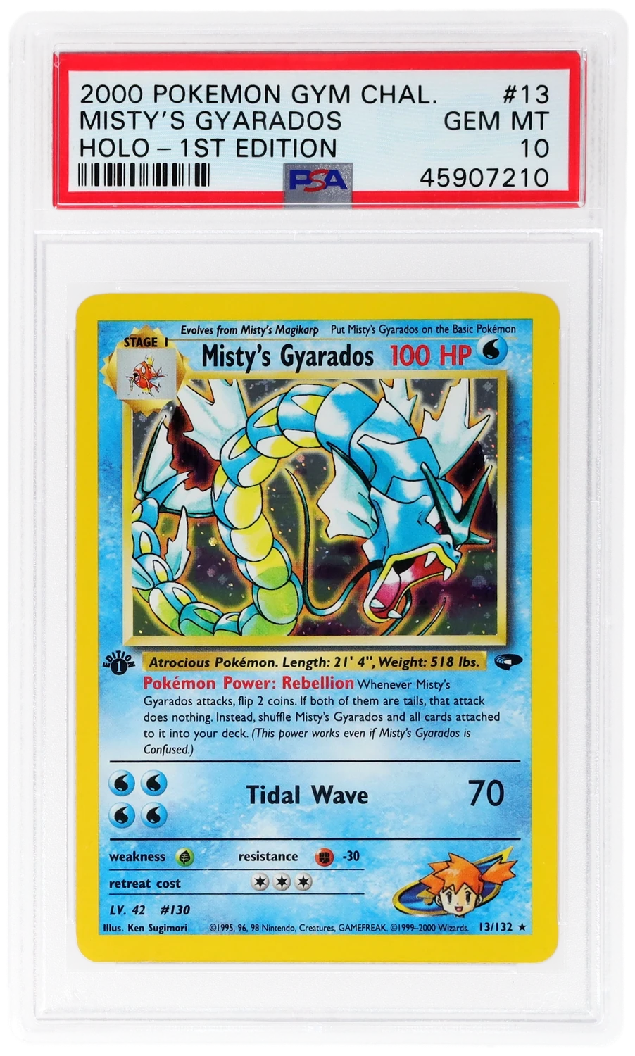 Misty's Gyarados