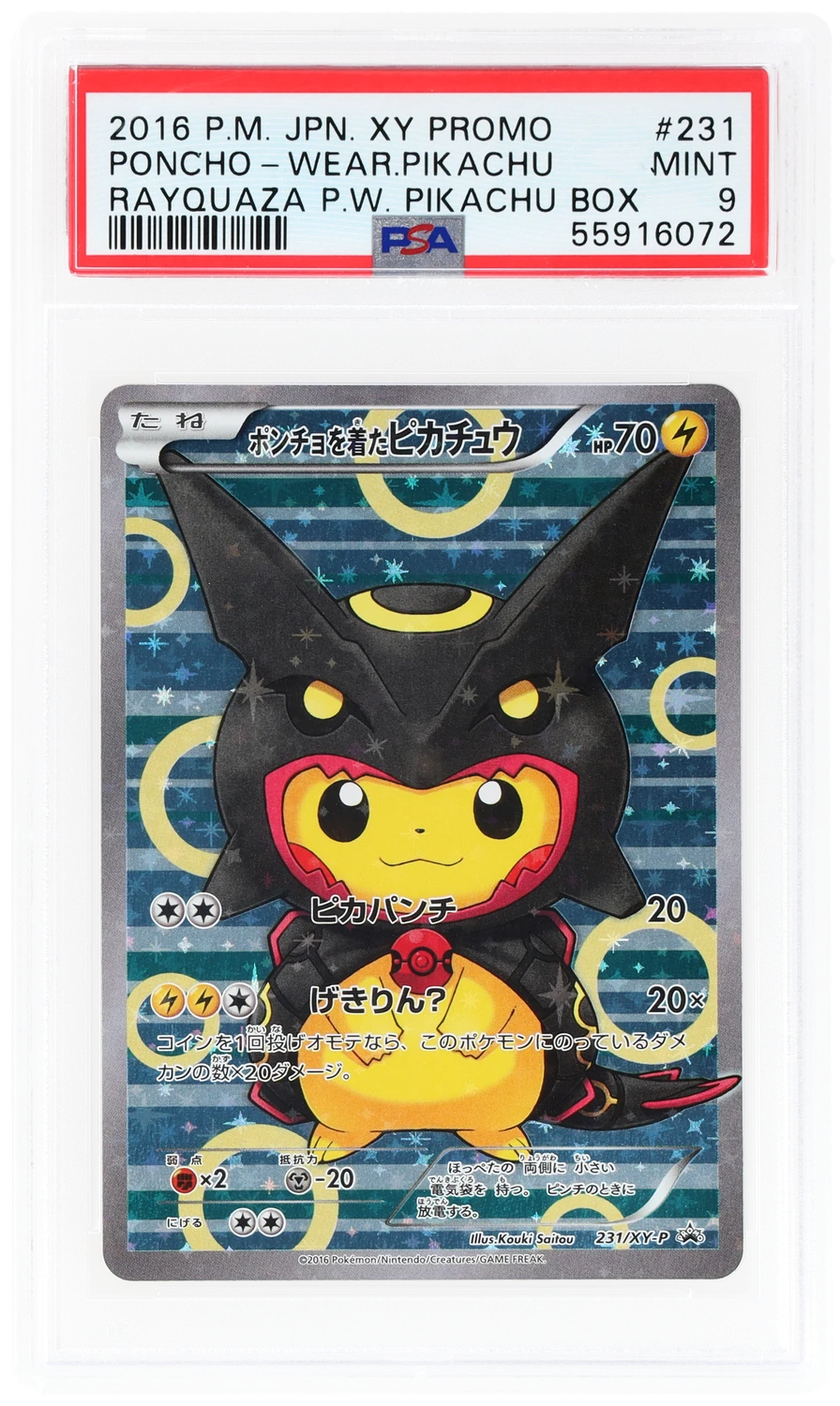 Poncho-Wearing Pikachu