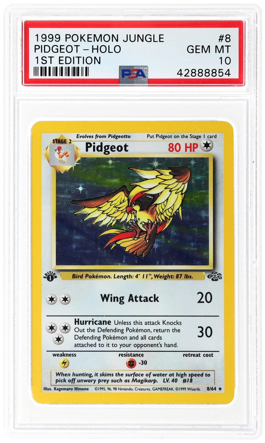 PIDGEOT