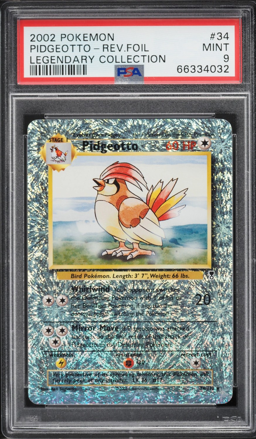 Pidgeotto
