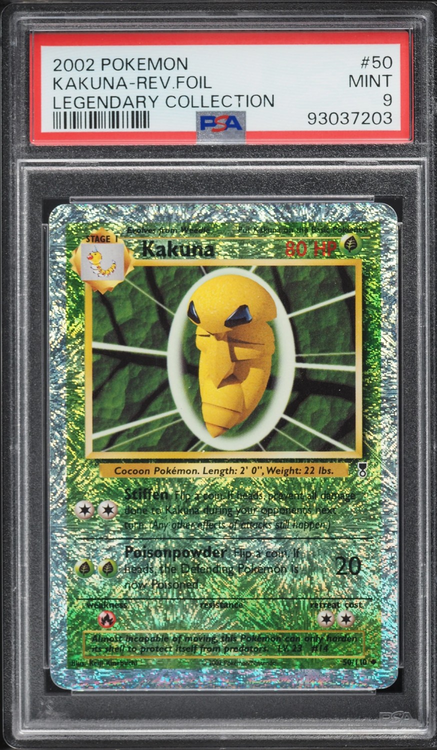 Kakuna