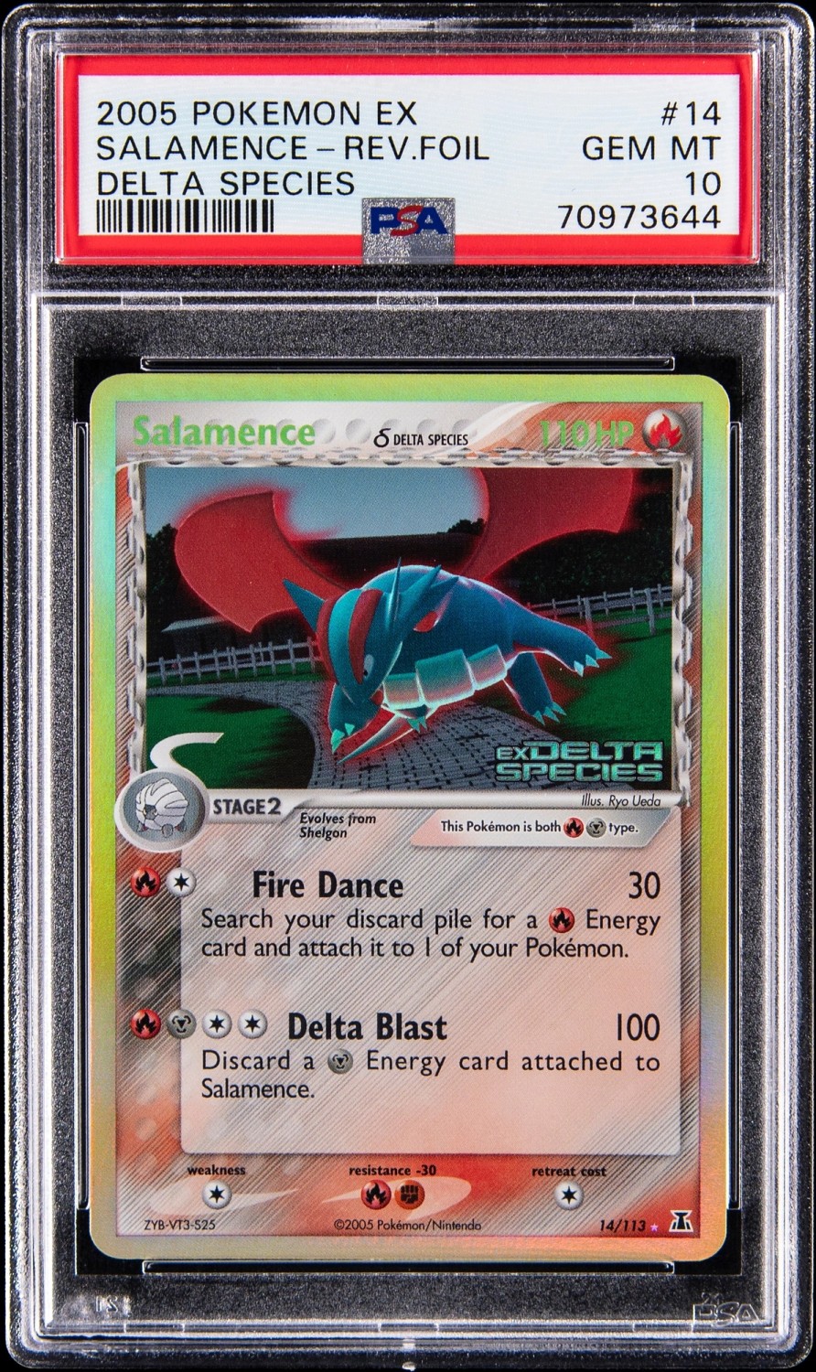 Salamence