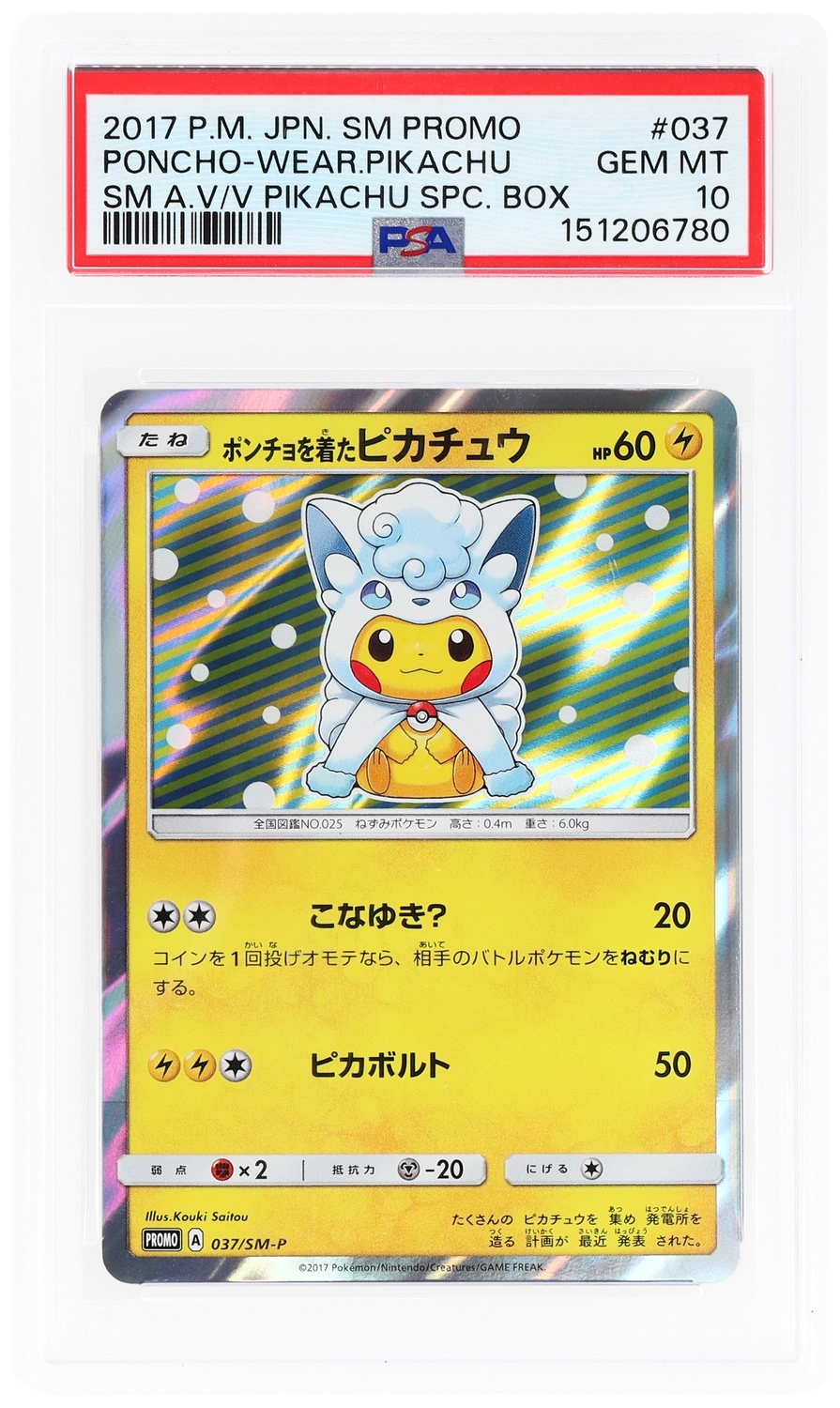 Poncho-Wear Pikachu