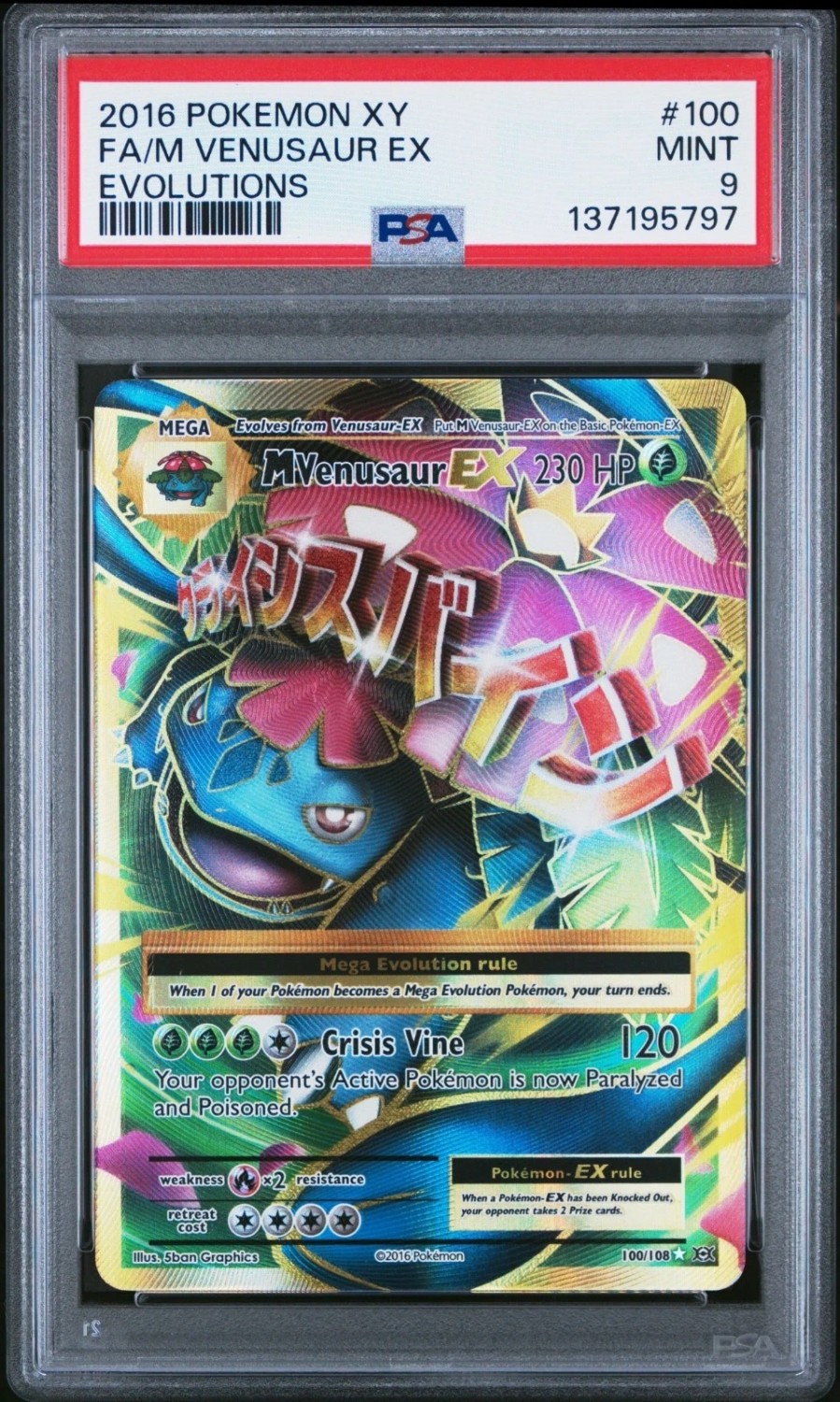 M Venusaur EX