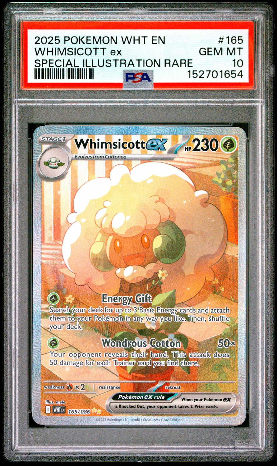 WHIMSICOTT ex