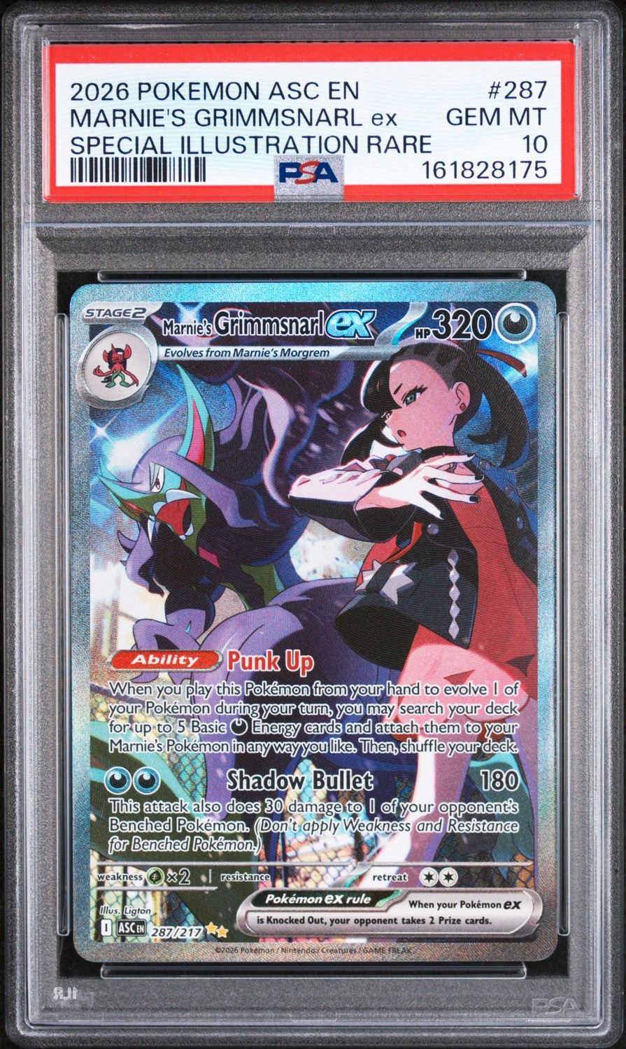 MARNIE'S GRIMMSNARL ex