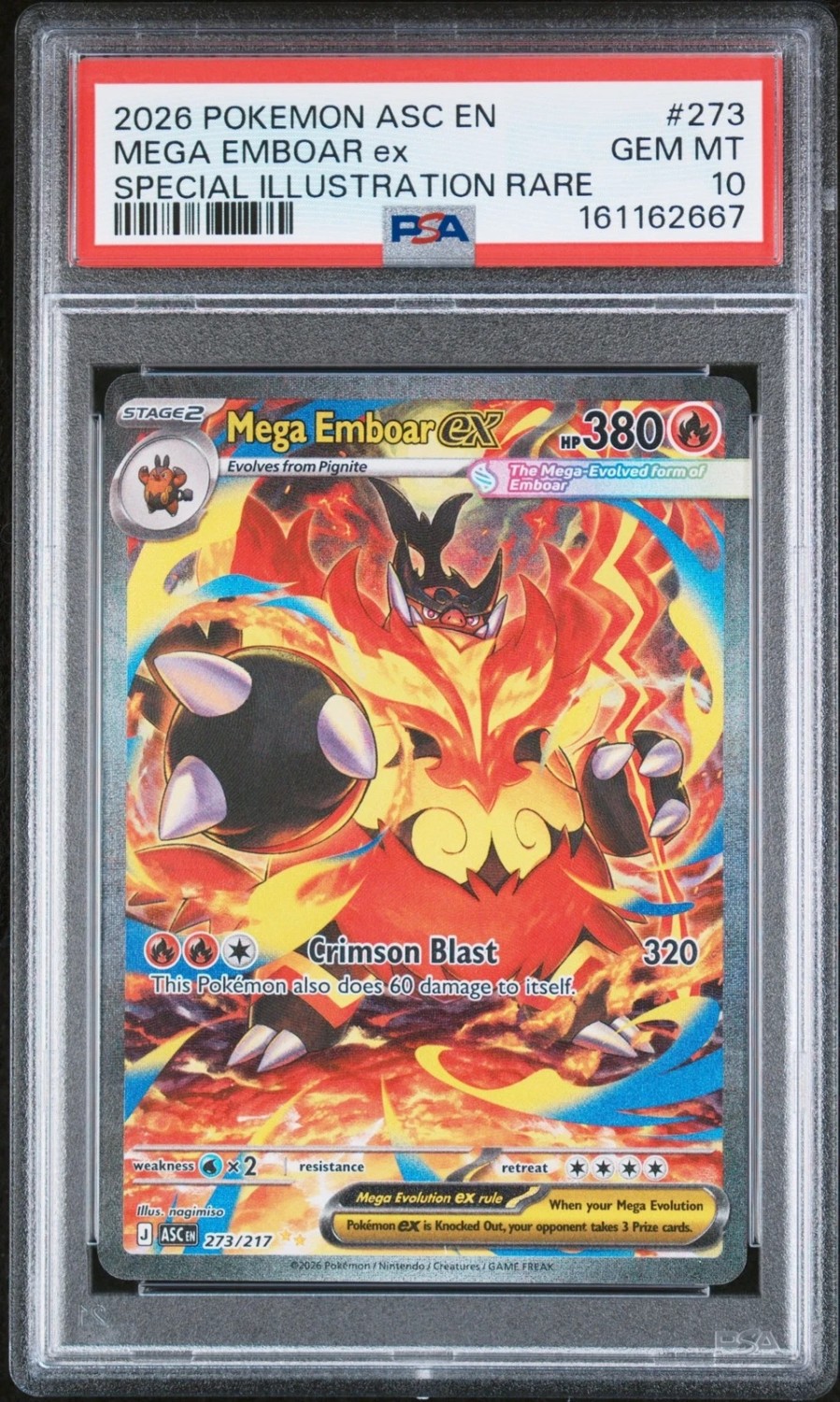 MEGA EMBOAR ex