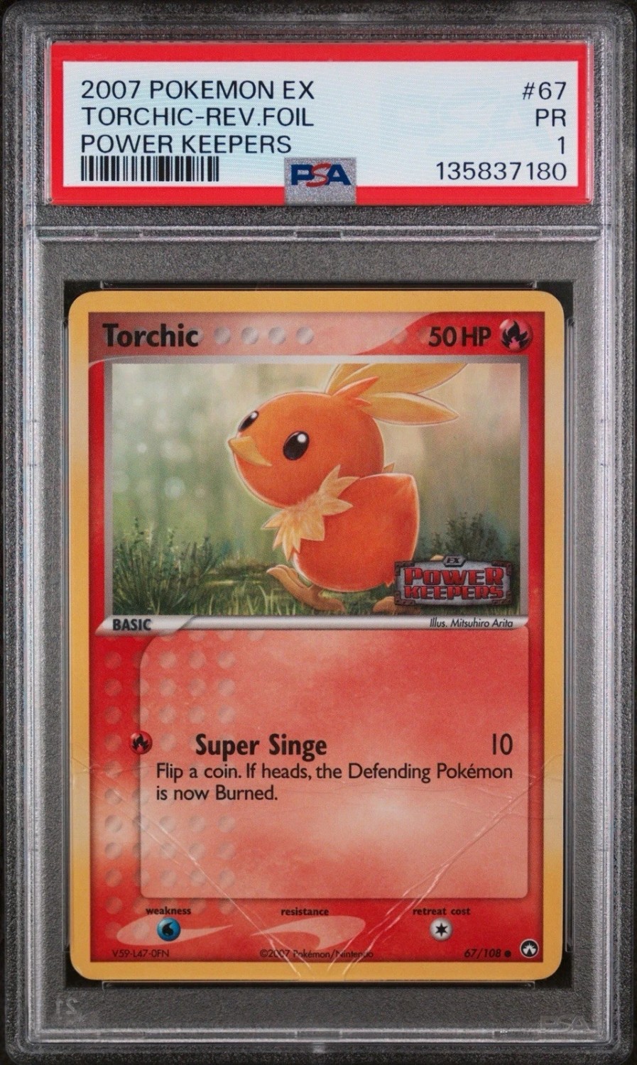 Torchic