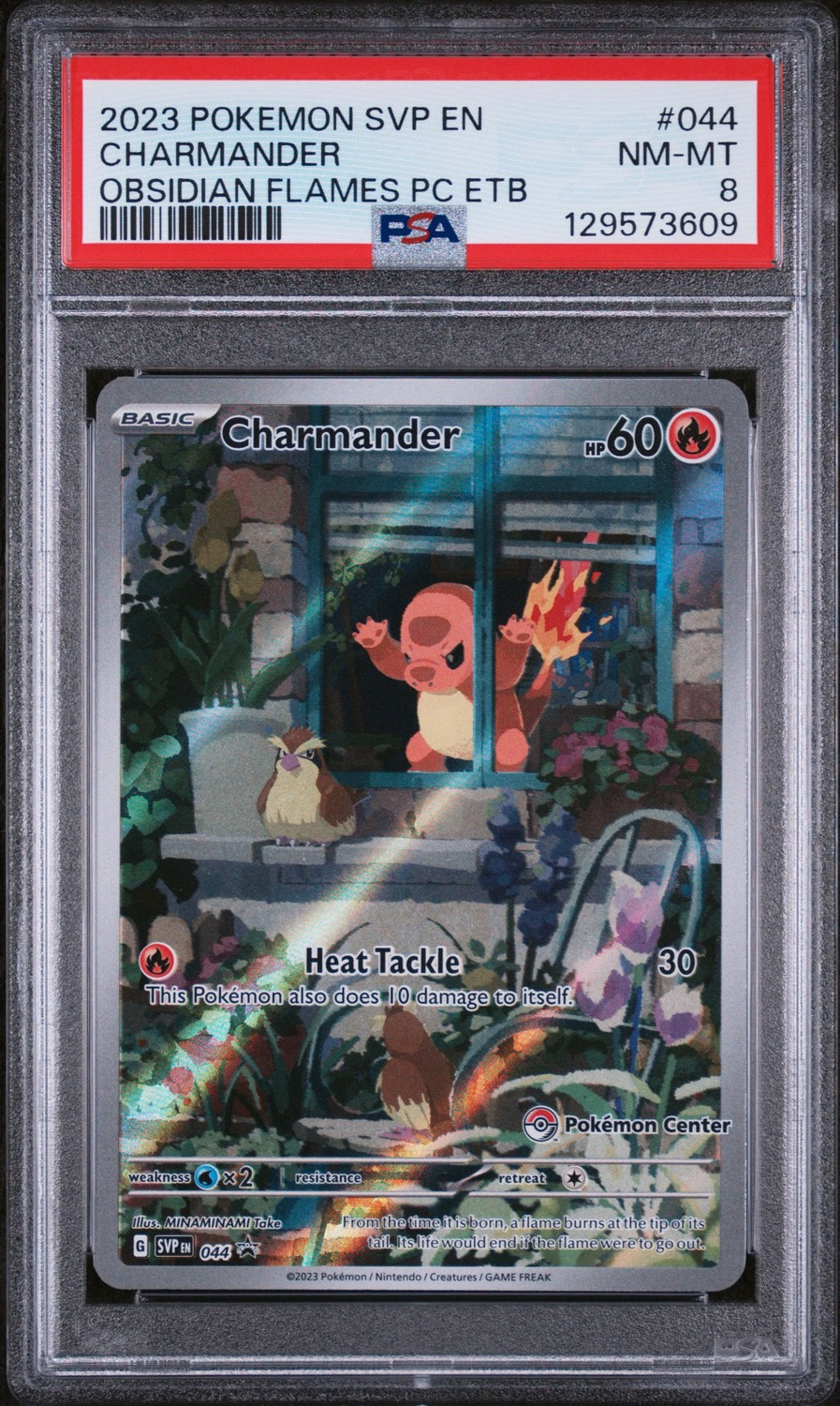 CHARMANDER