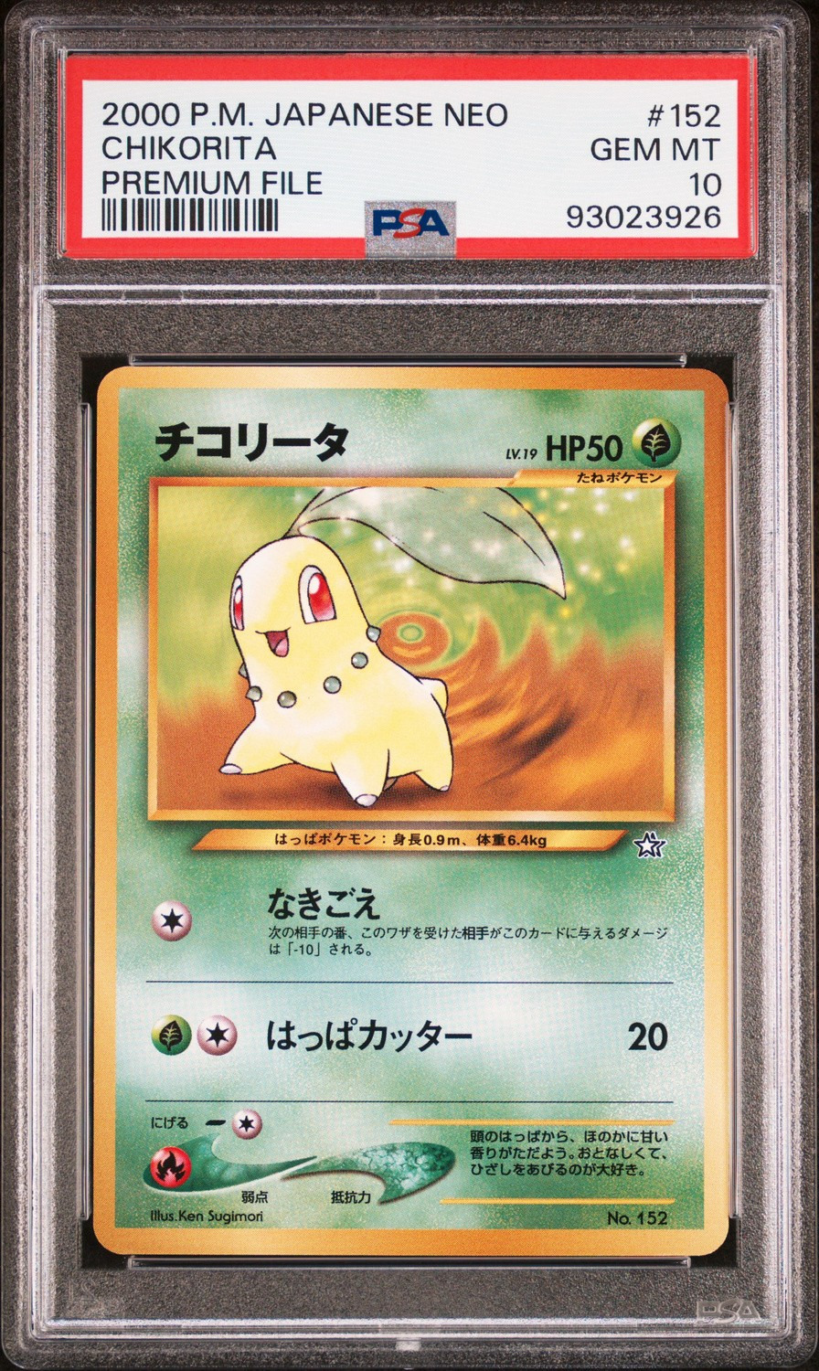 Chikorita