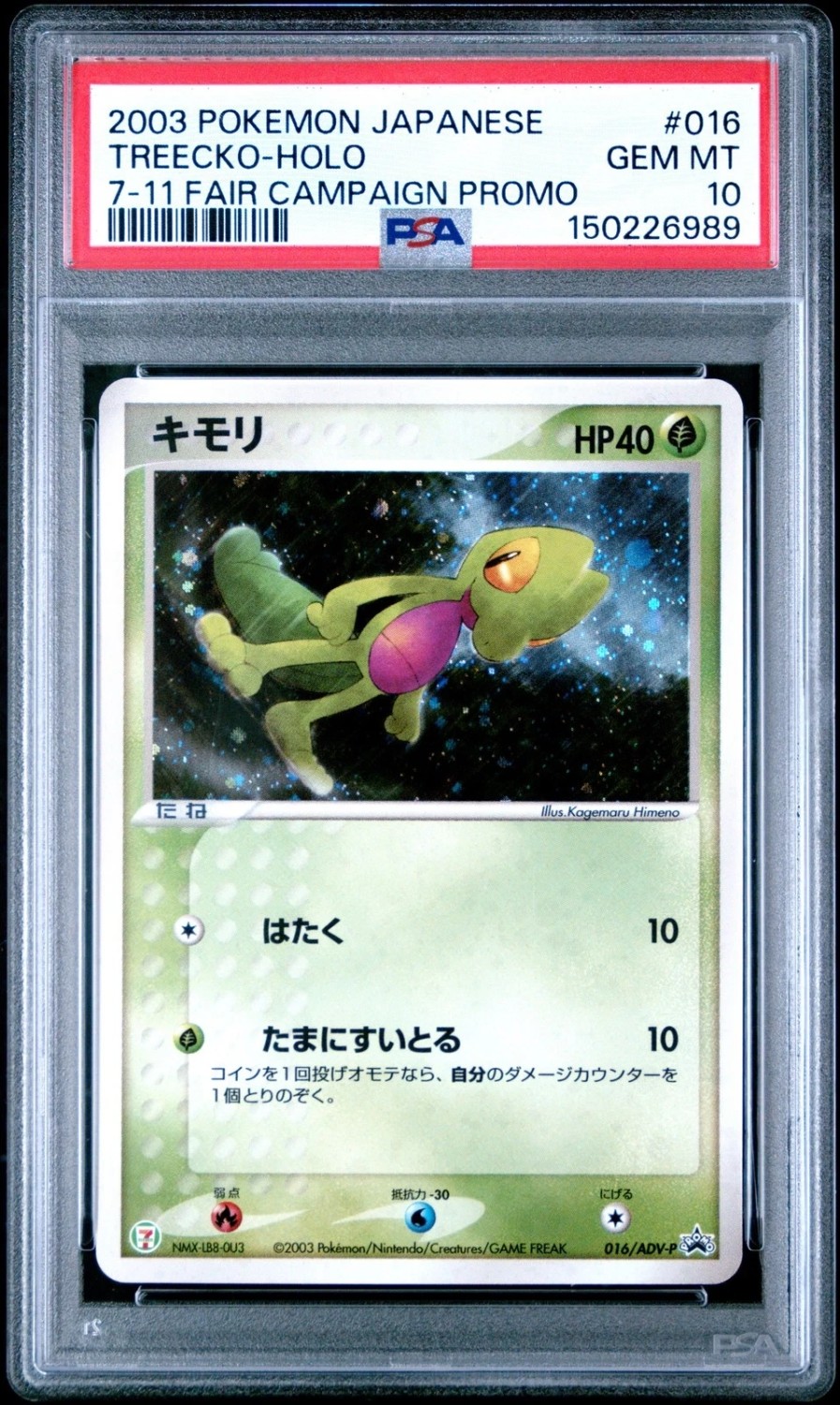 Treecko