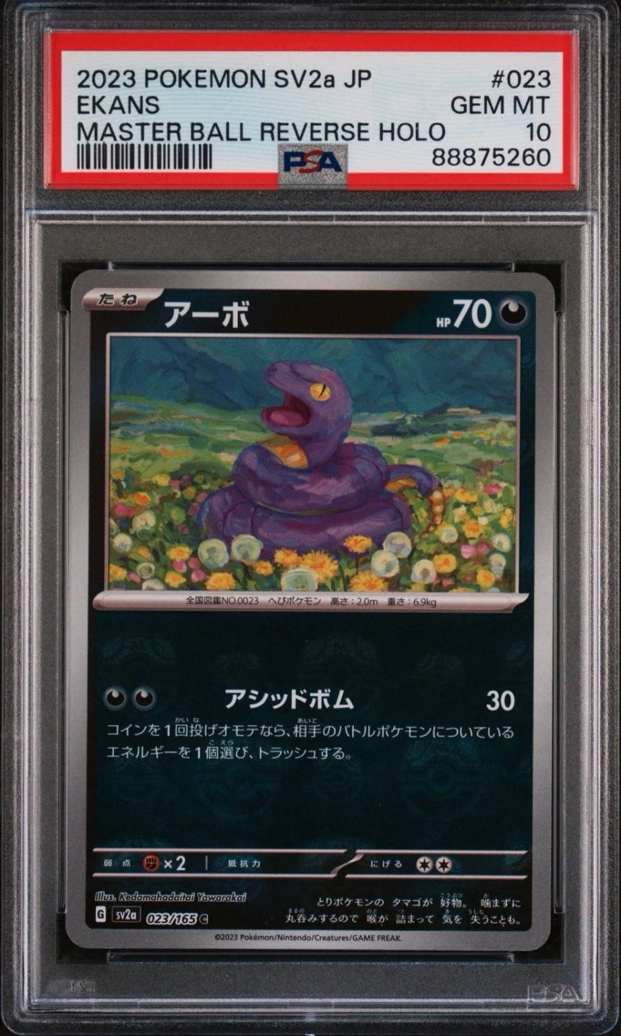 Ekans