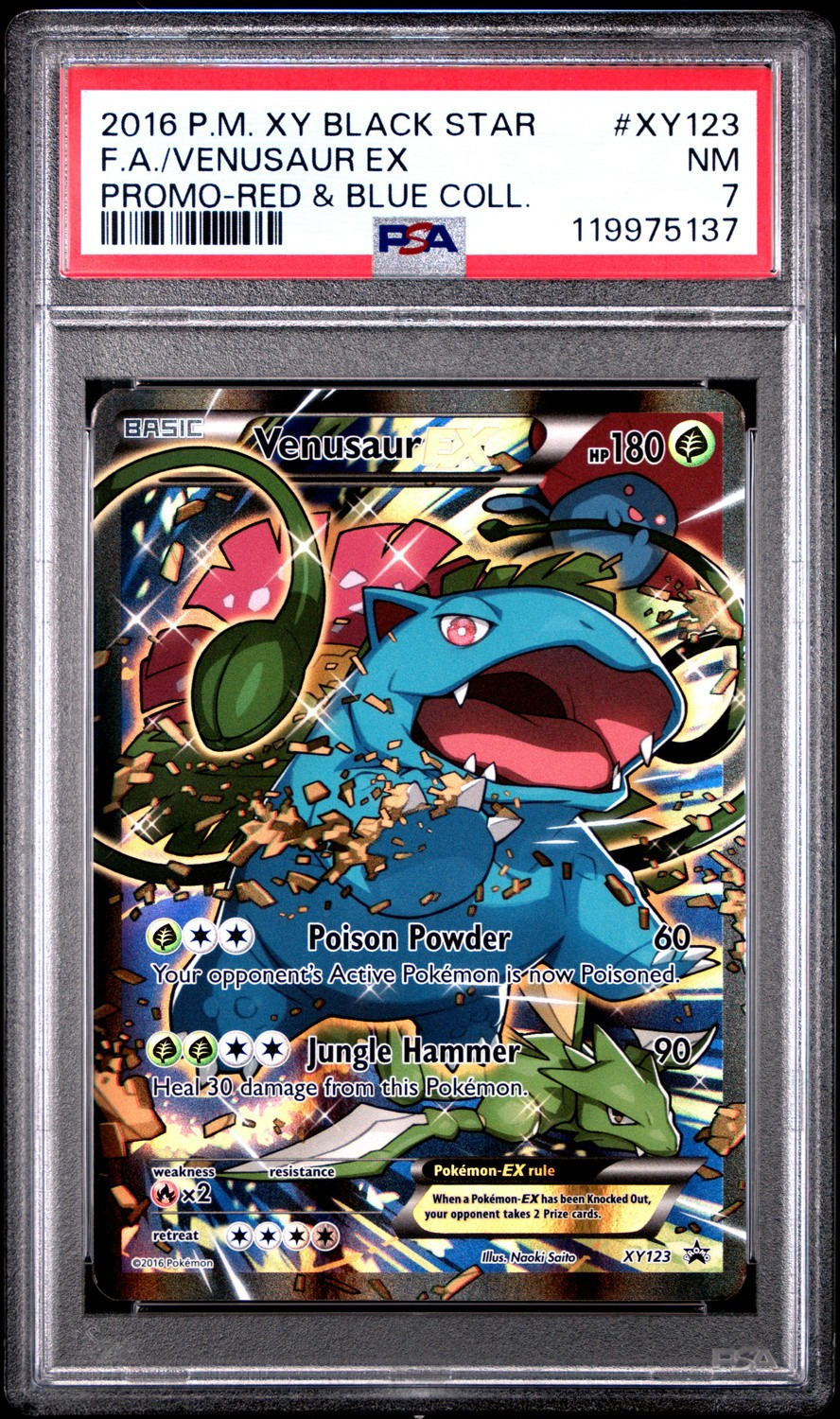 Venusaur EX
