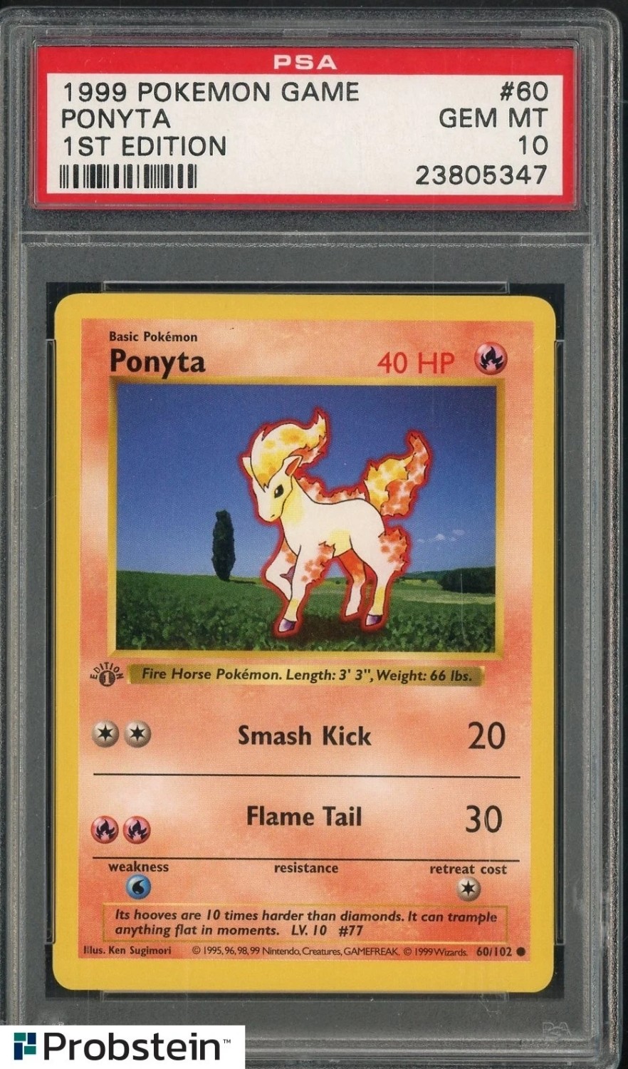 PONYTA