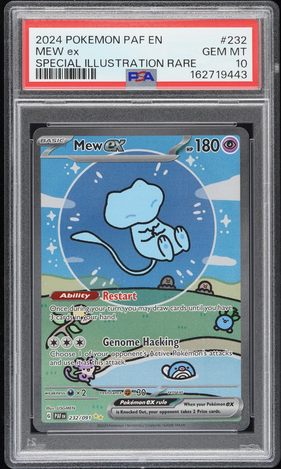 MEW ex