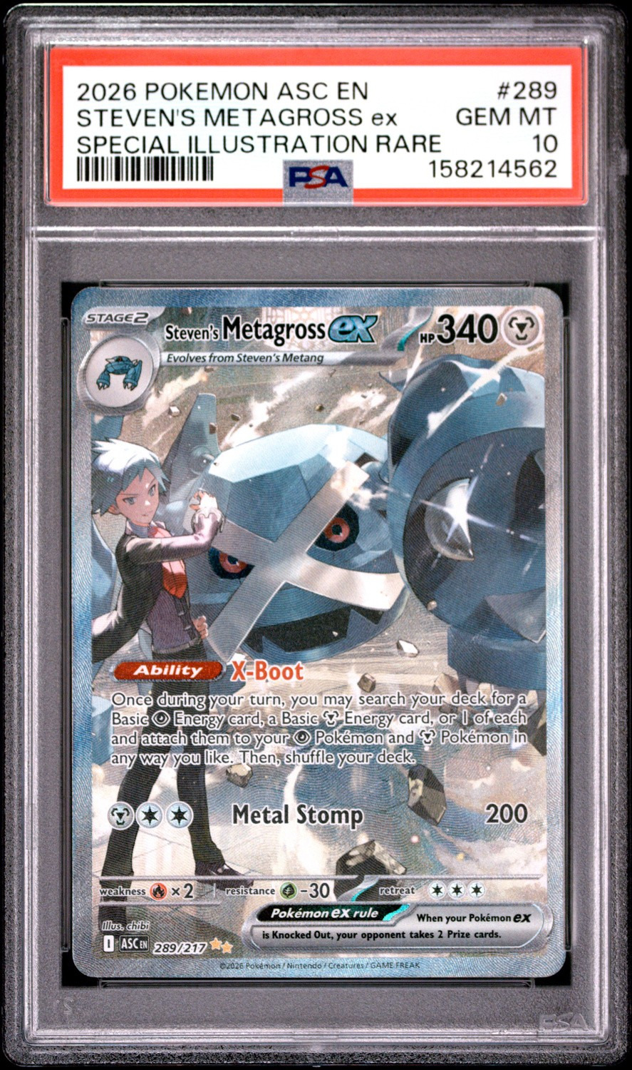 STEVEN'S METAGROSS ex