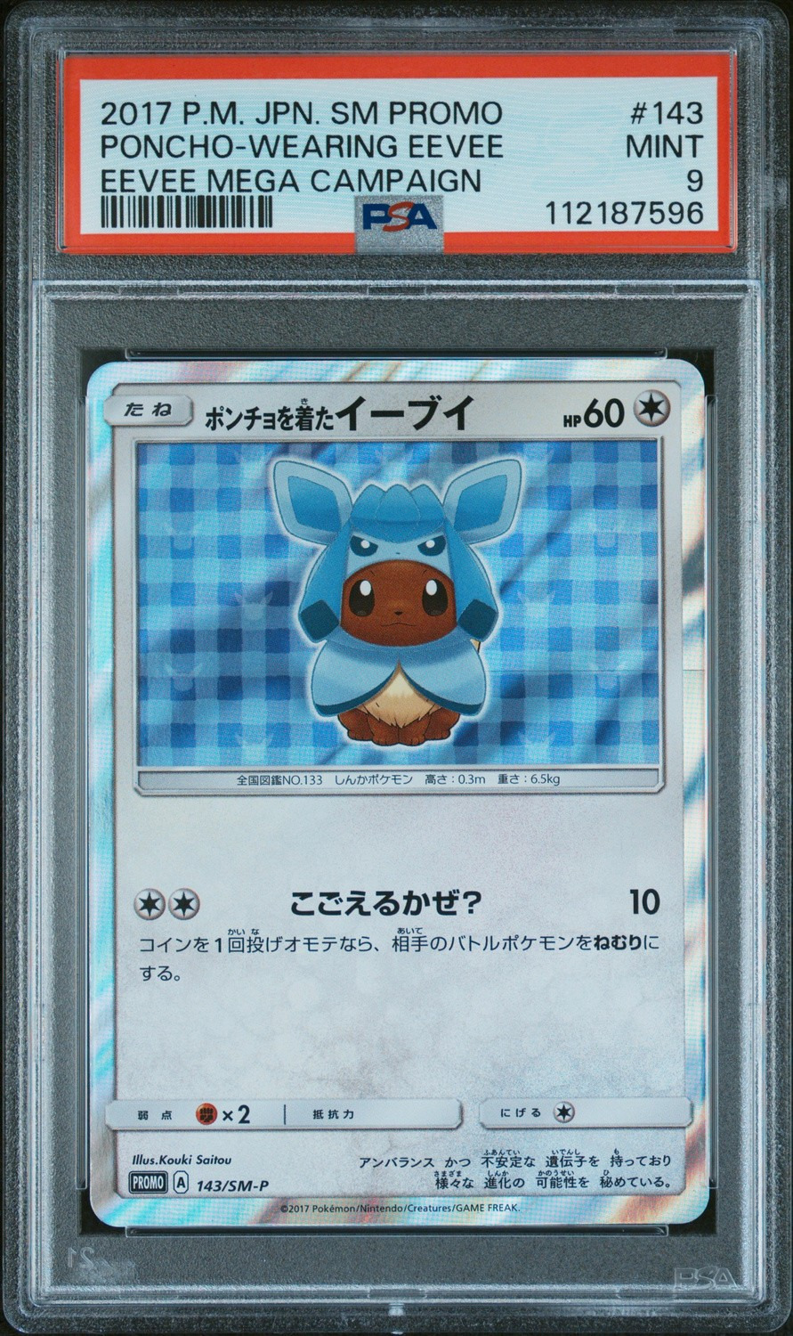 Poncho-Wearing Eevee