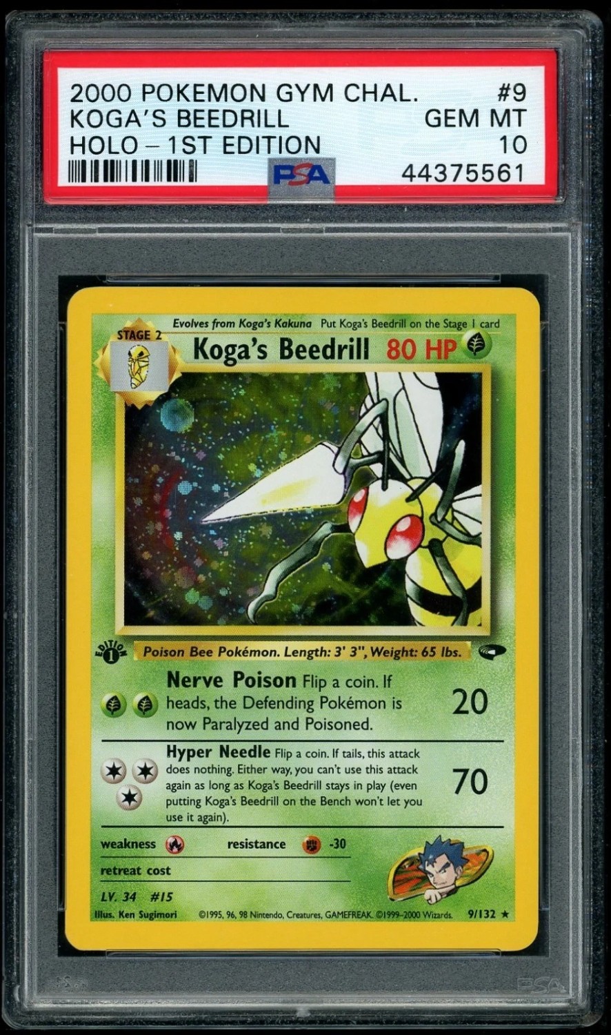 Koga's Beedrill