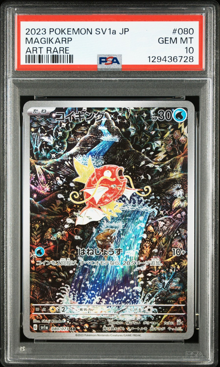 Magikarp