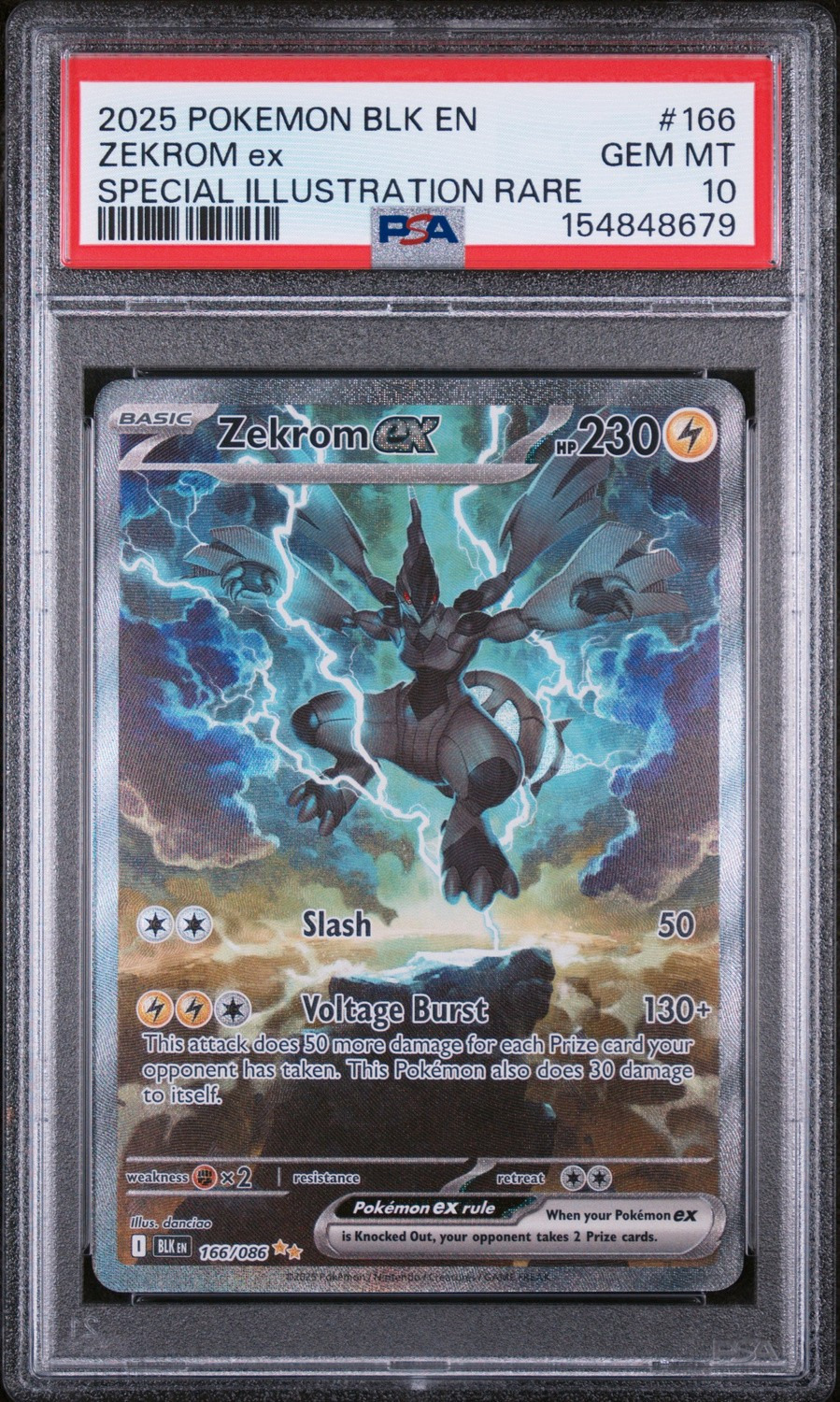ZEKROM ex