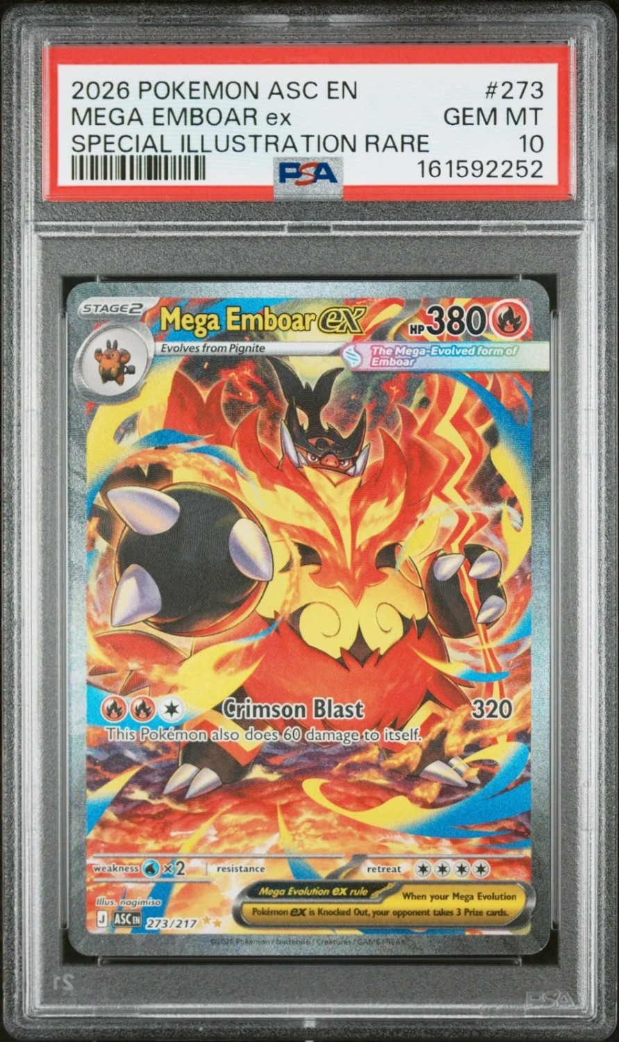 MEGA EMBOAR ex
