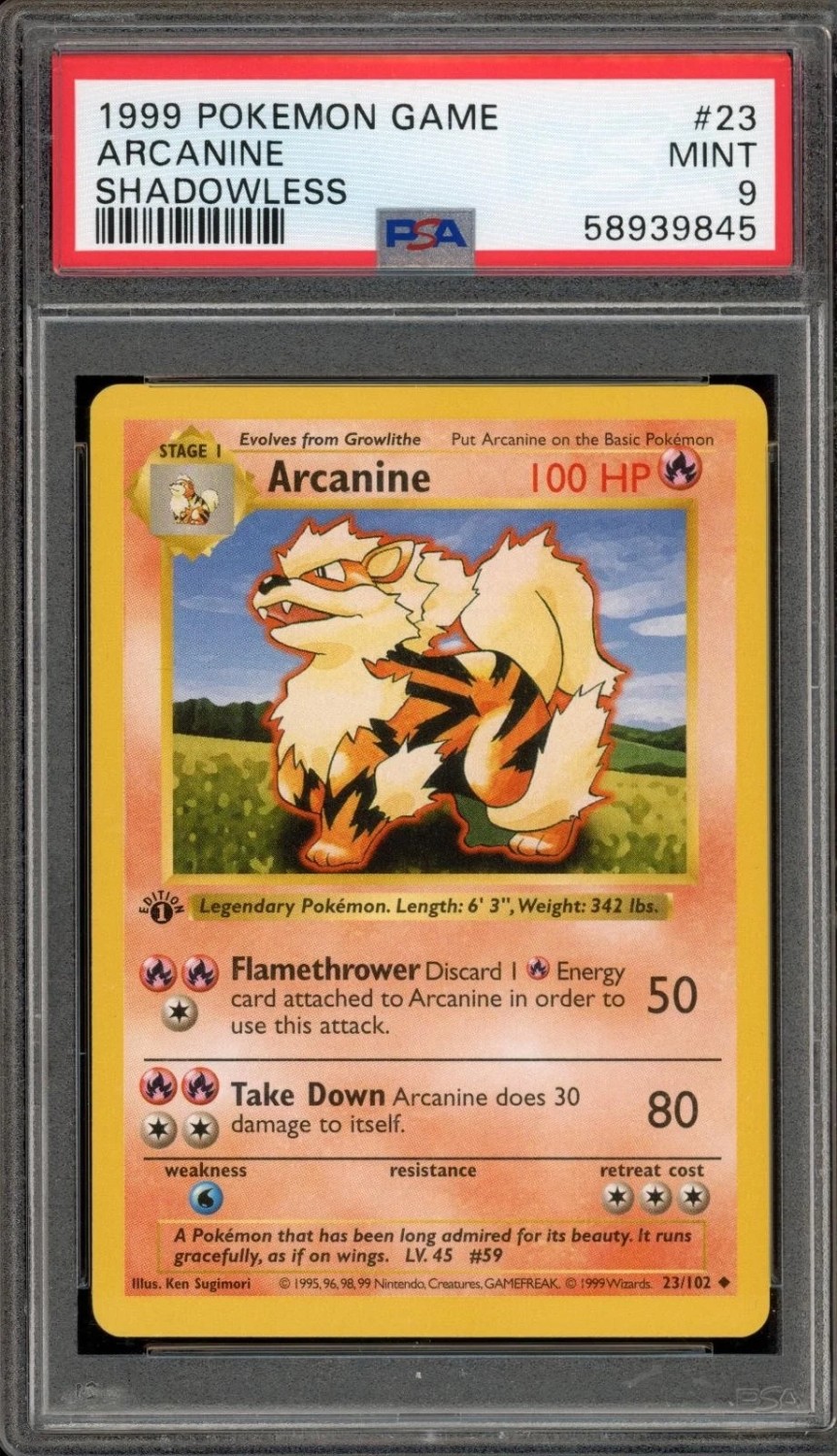 ARCANINE