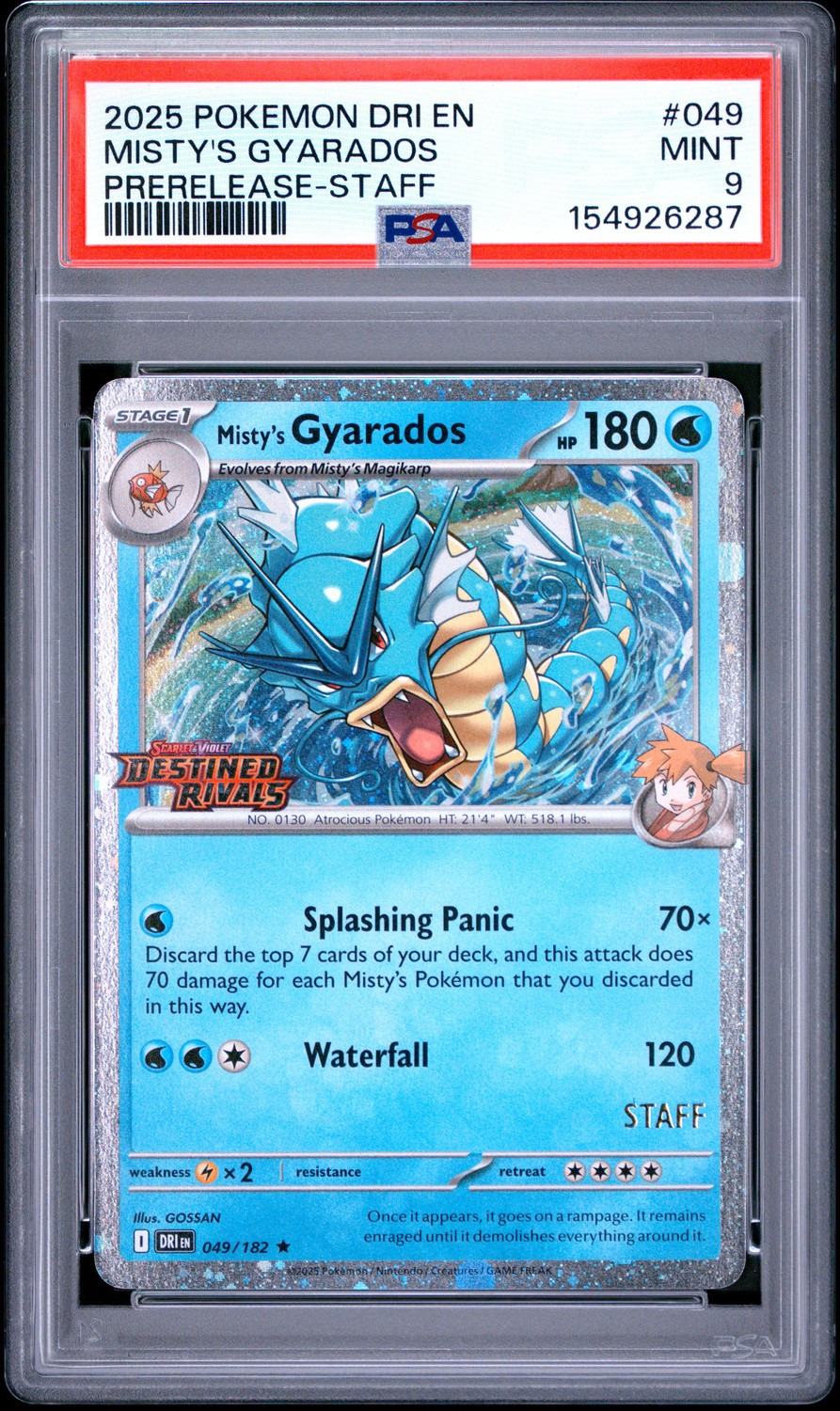 MISTY'S GYARADOS
