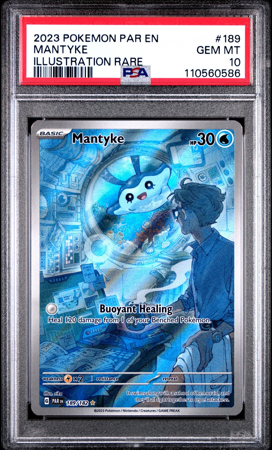 Mantyke