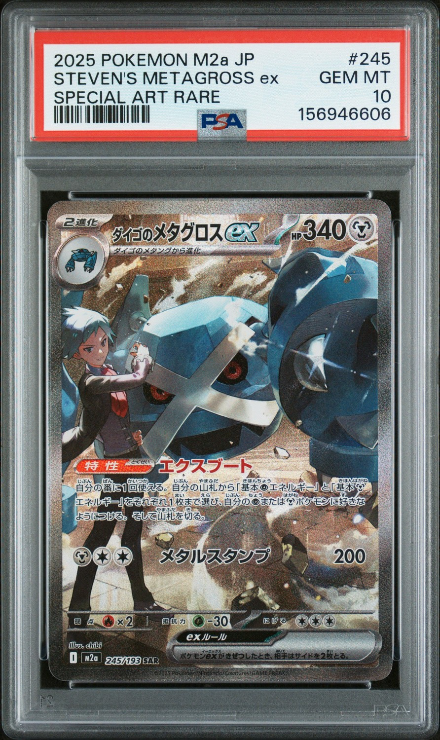STEVEN'S METAGROSS ex