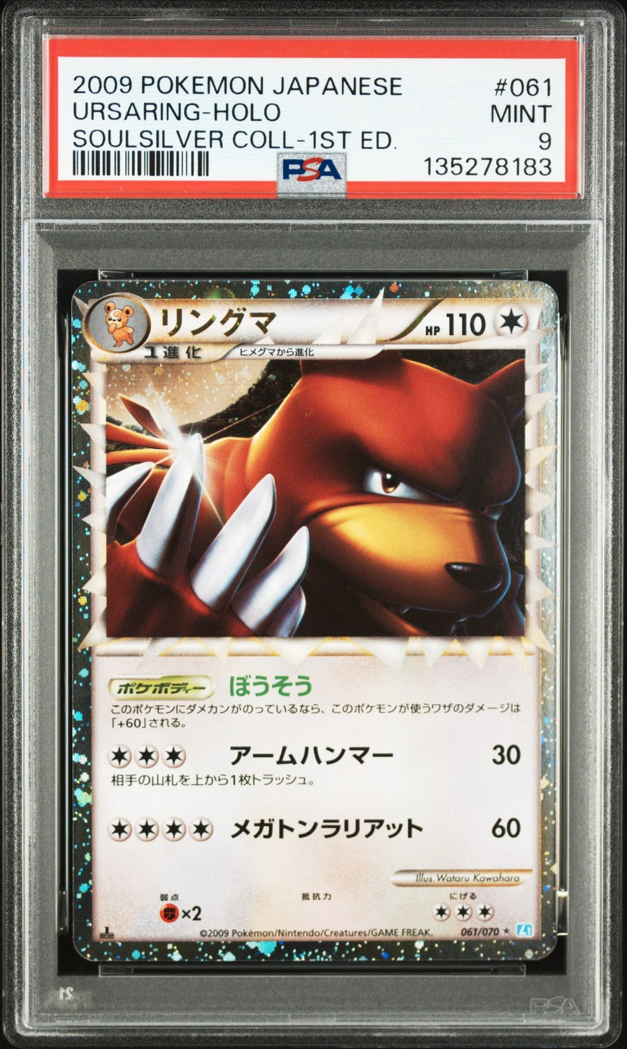Ursaring