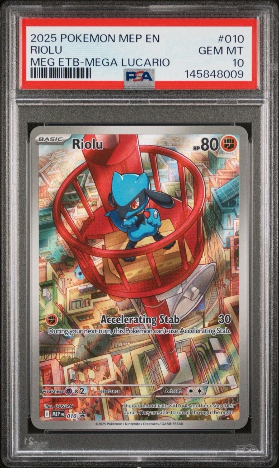 Riolu