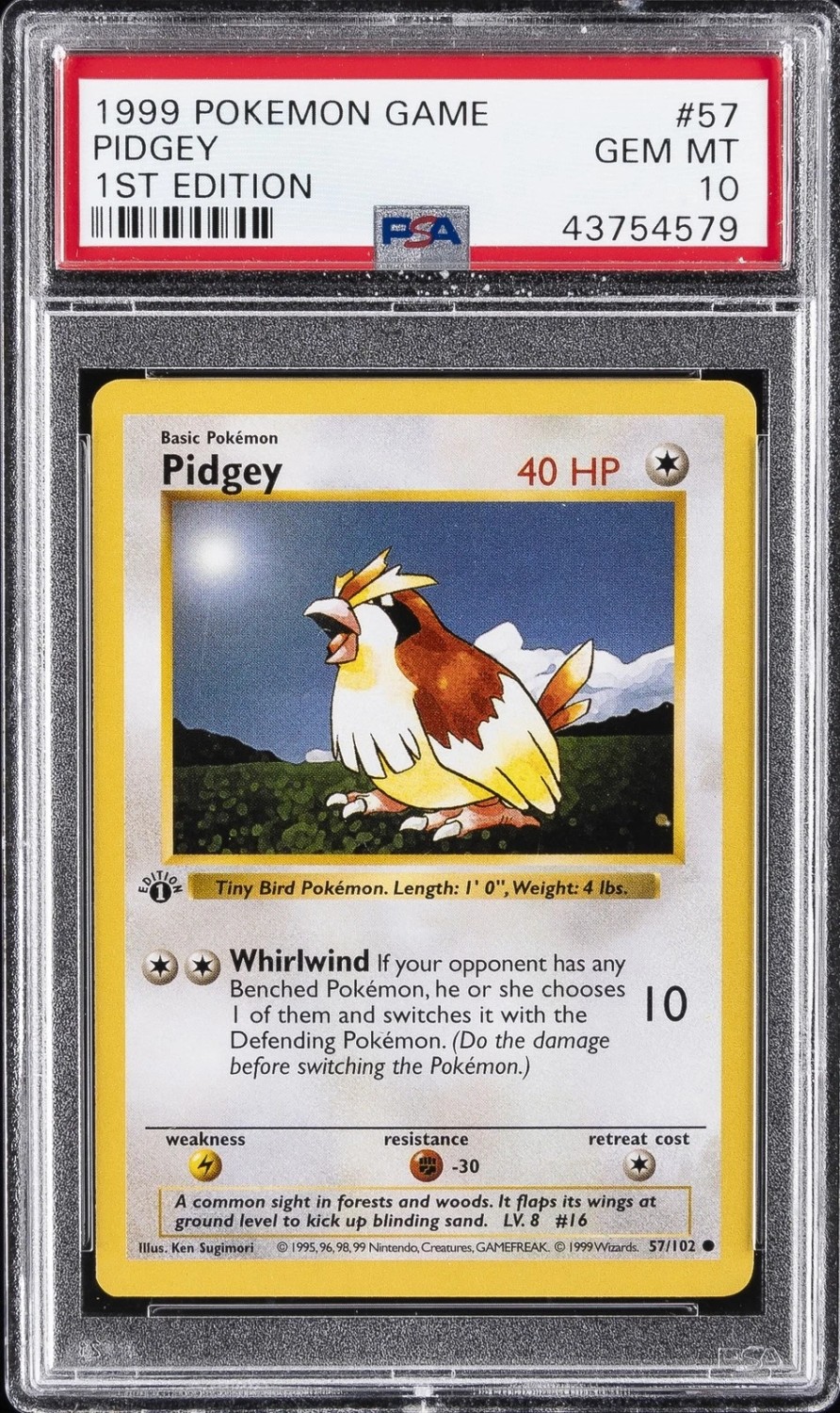 PIDGEY