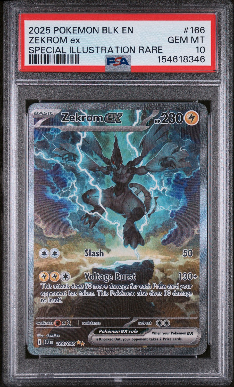 ZEKROM ex