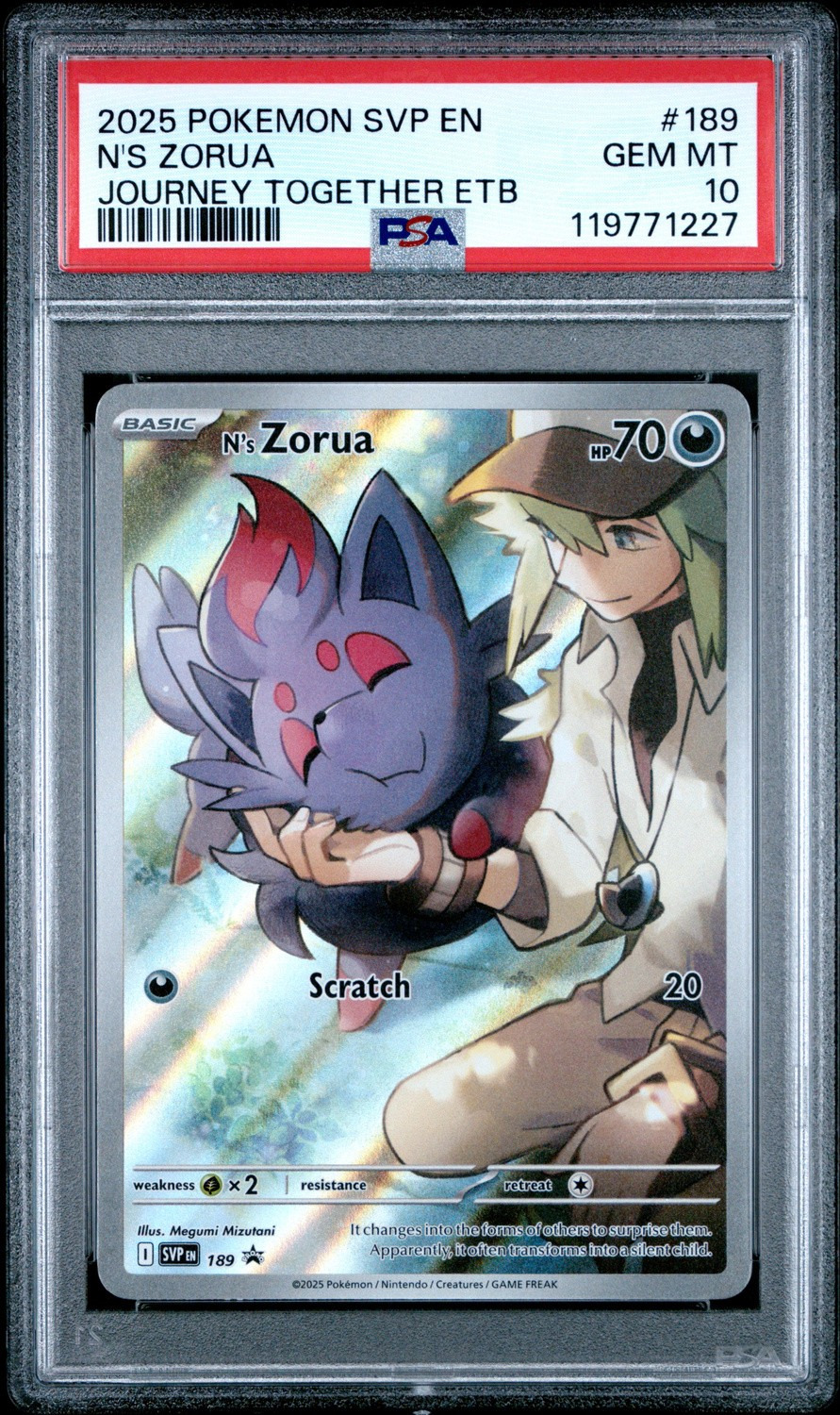 N'S ZORUA