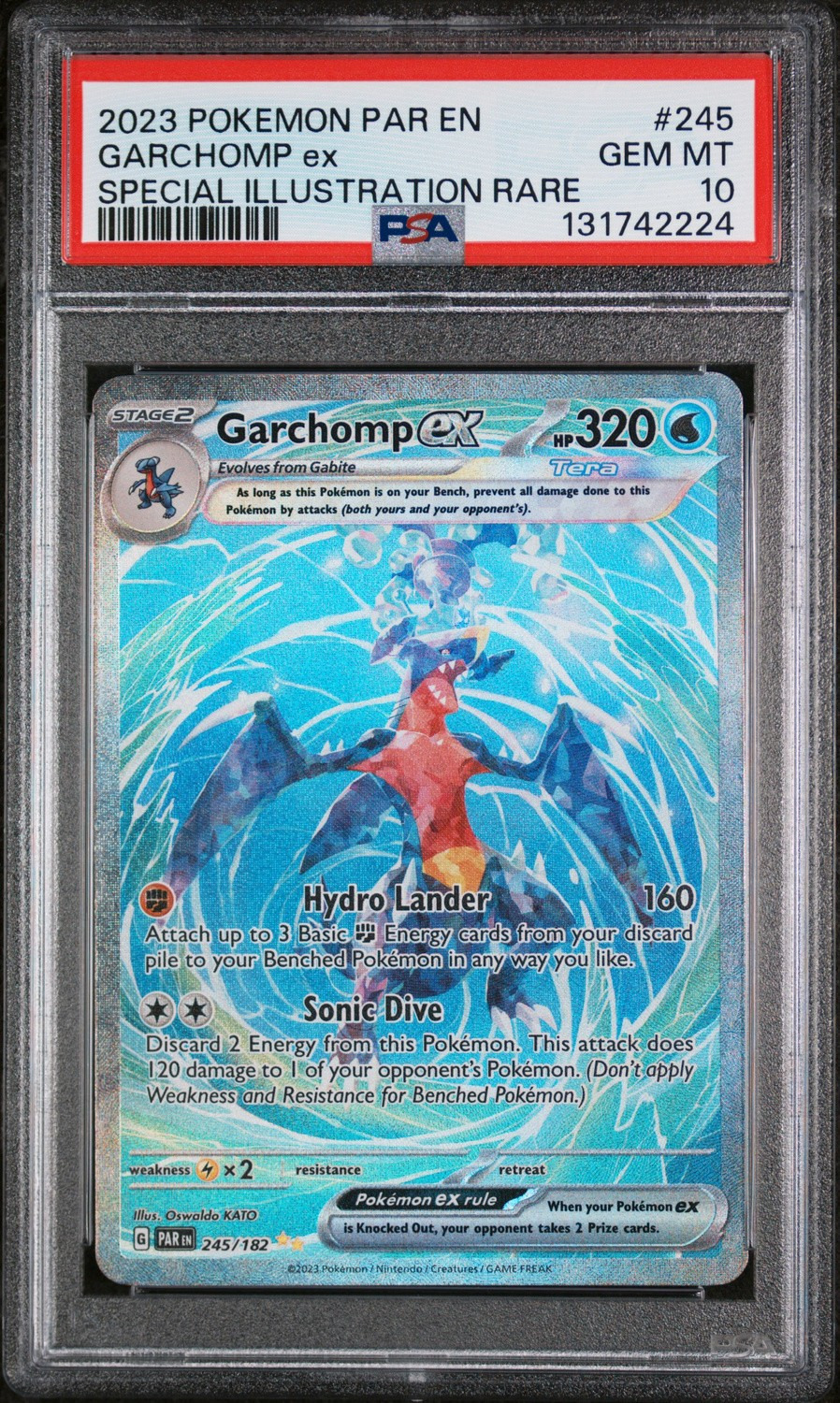 GARCHOMP ex