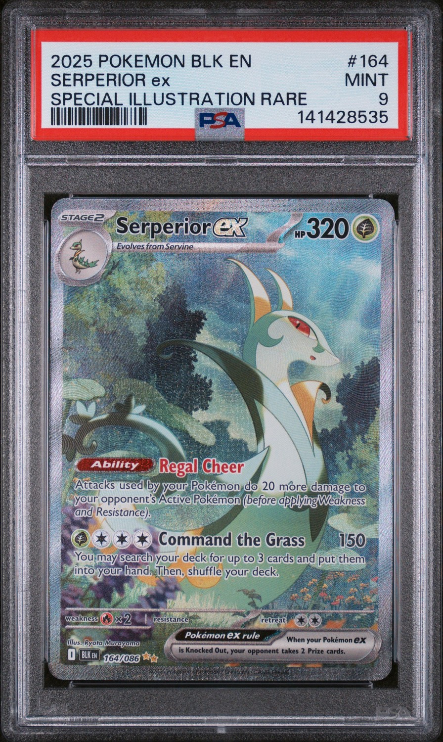 SERPERIOR ex