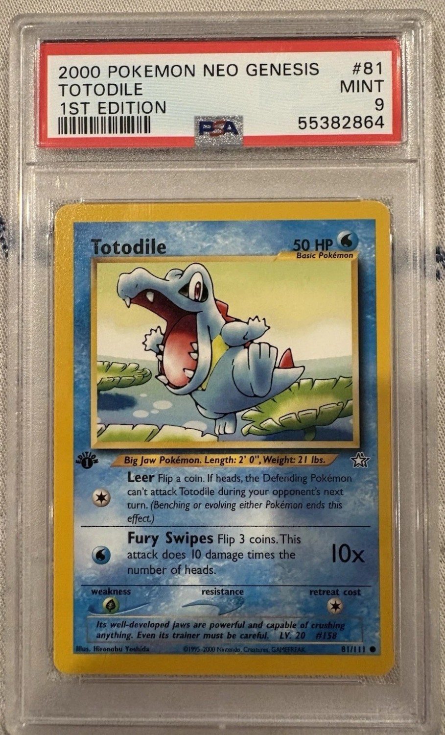Totodile