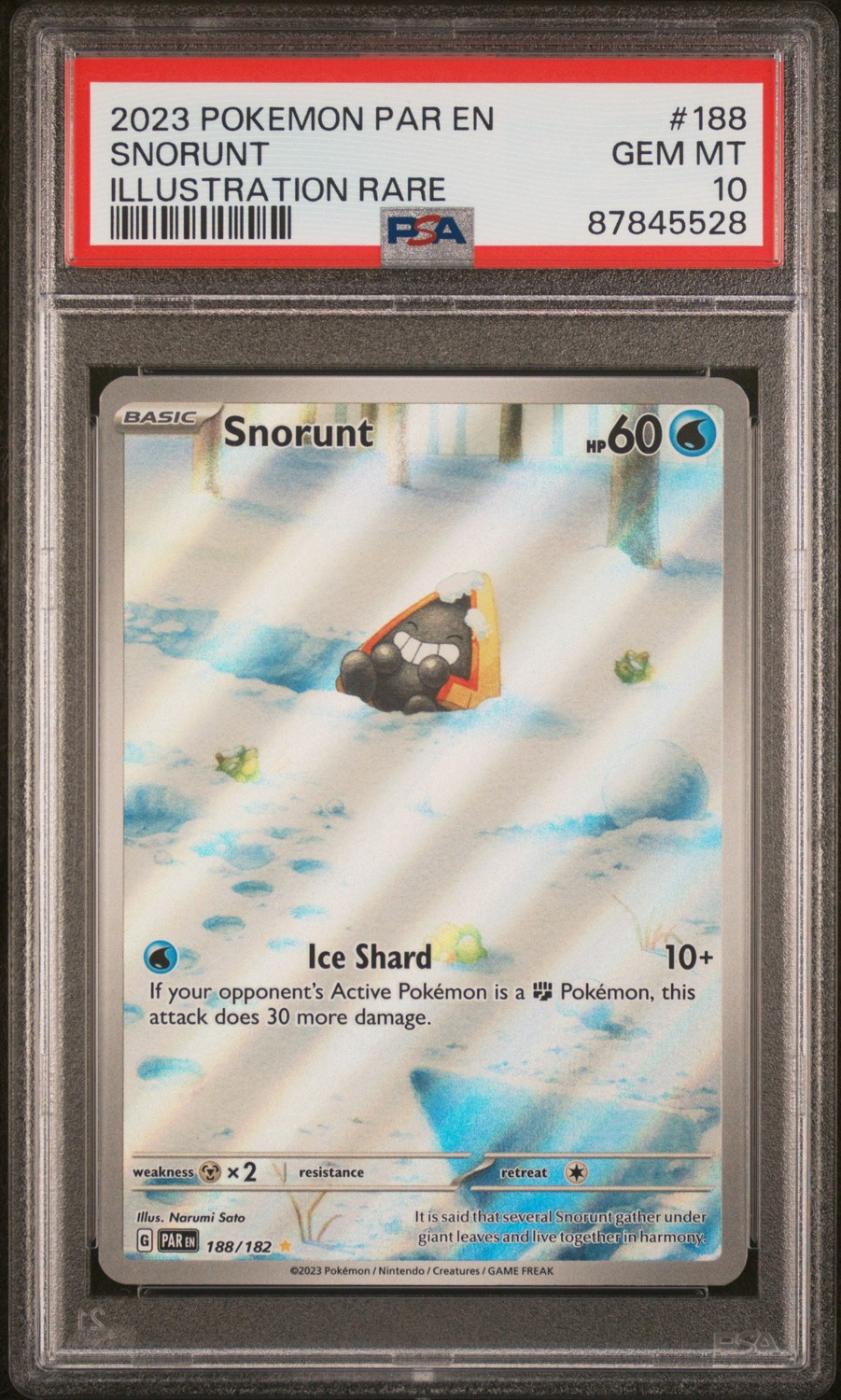 Snorunt