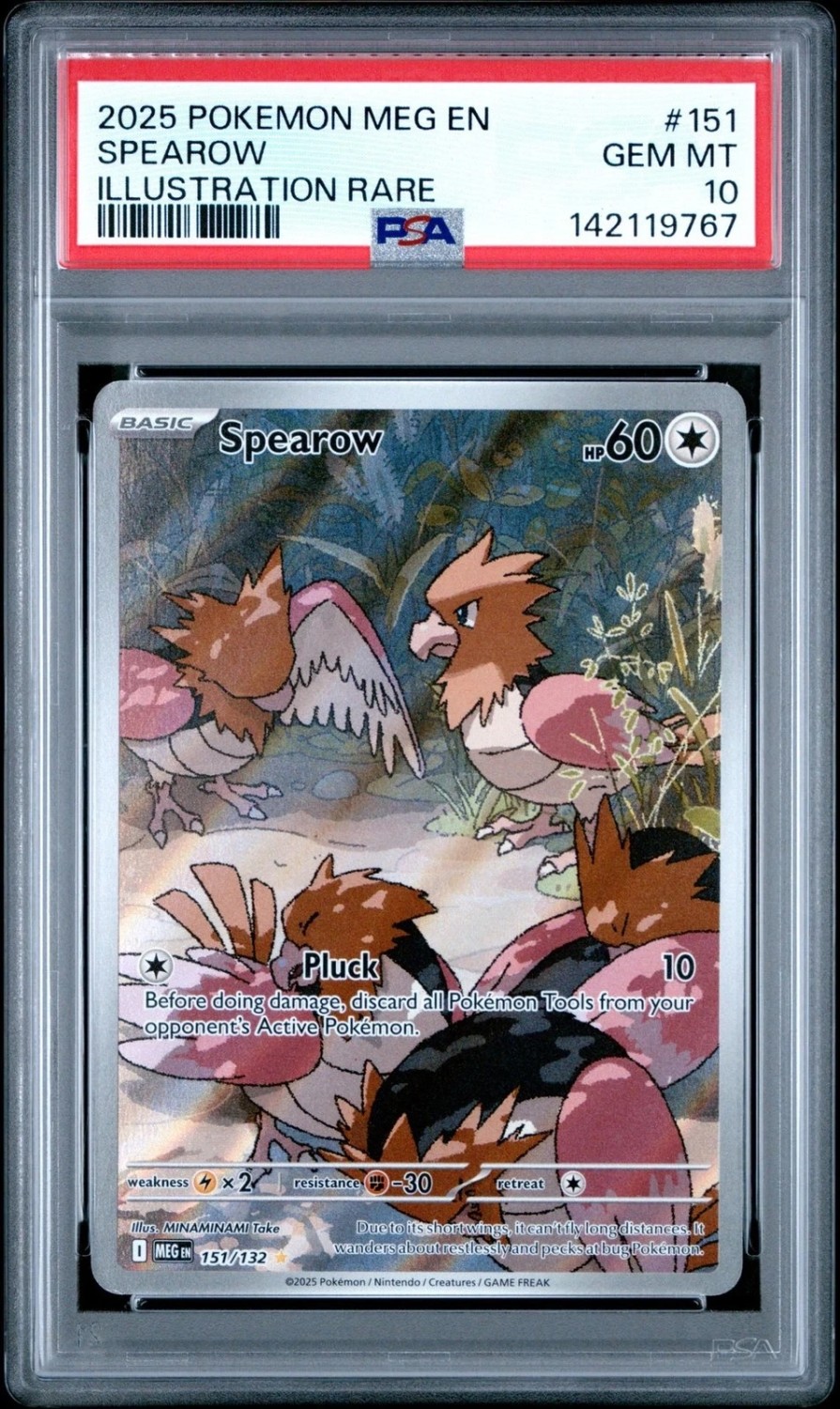 Spearow
