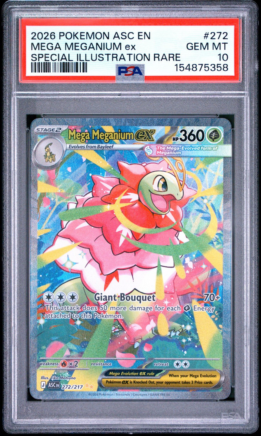 MEGA MEGANIUM ex