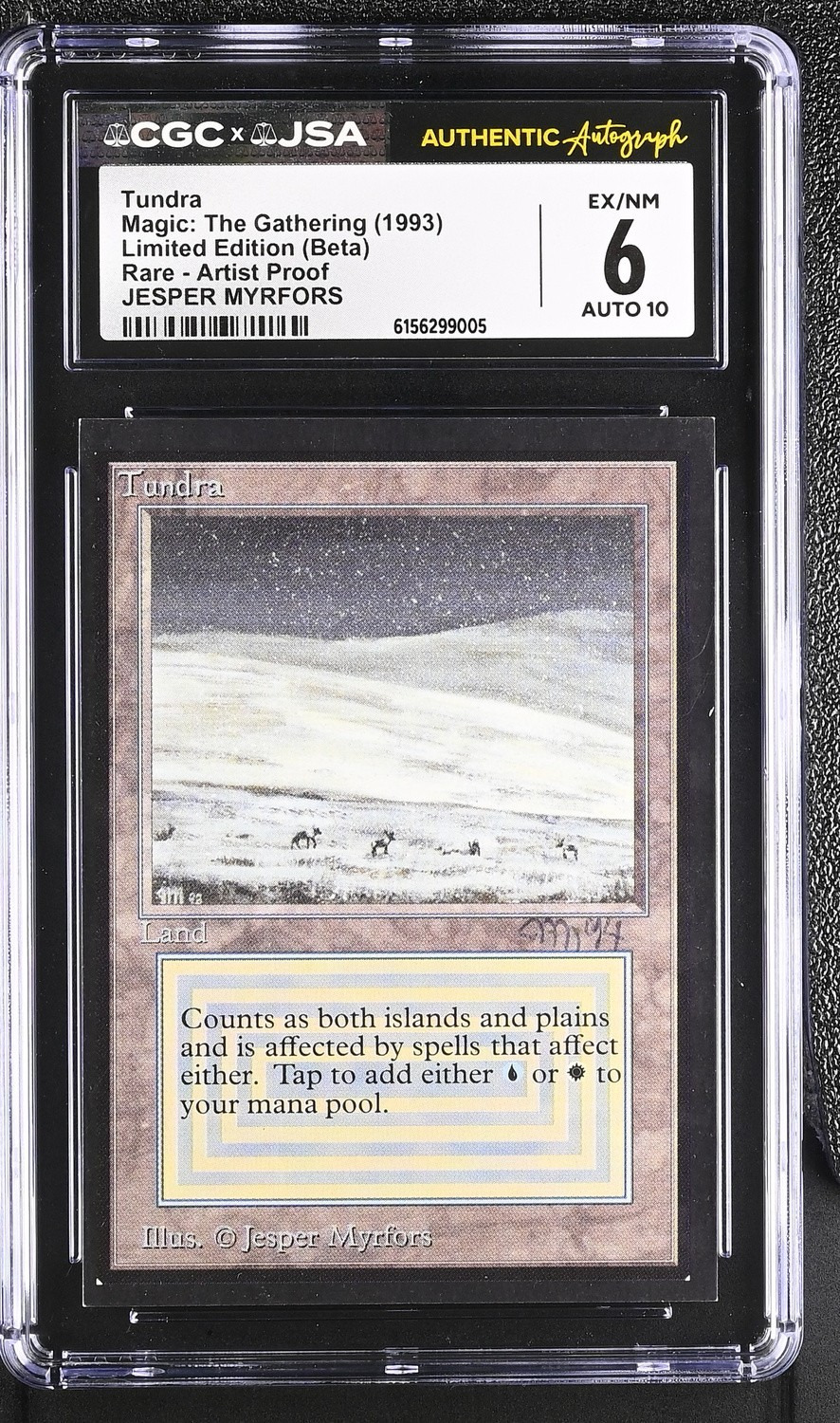 Tundra
