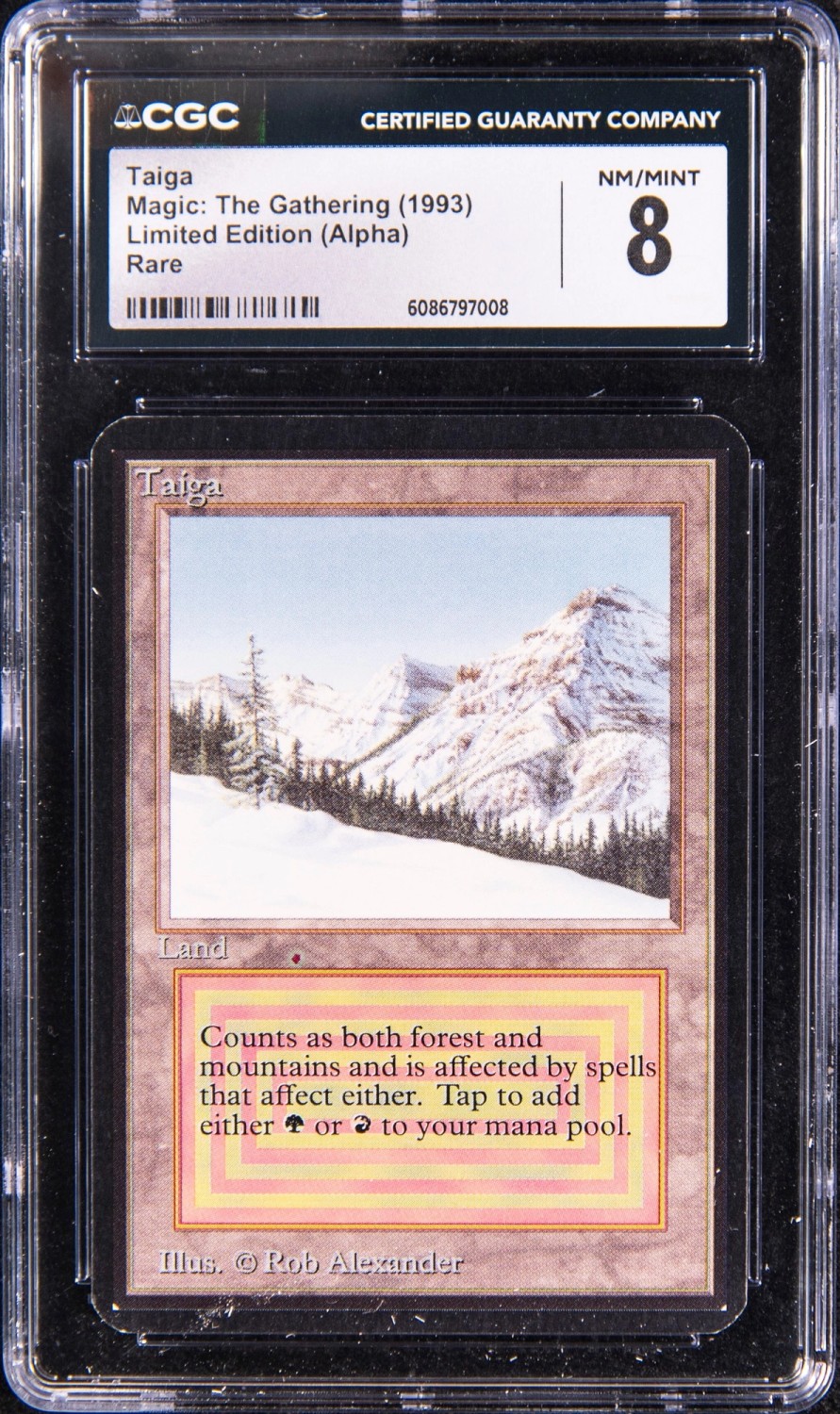 Taiga
