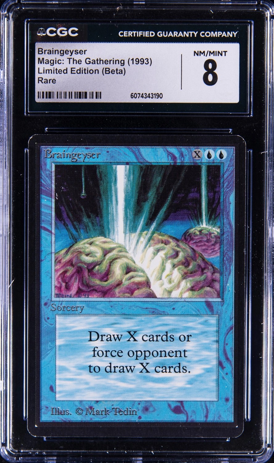 Braingeyser