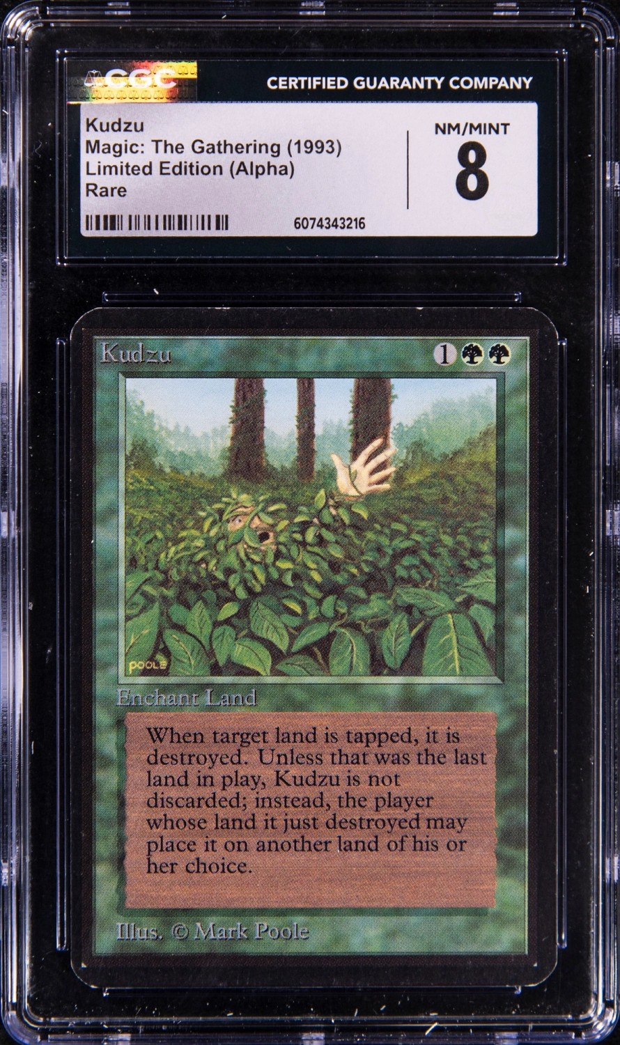 Kudzu