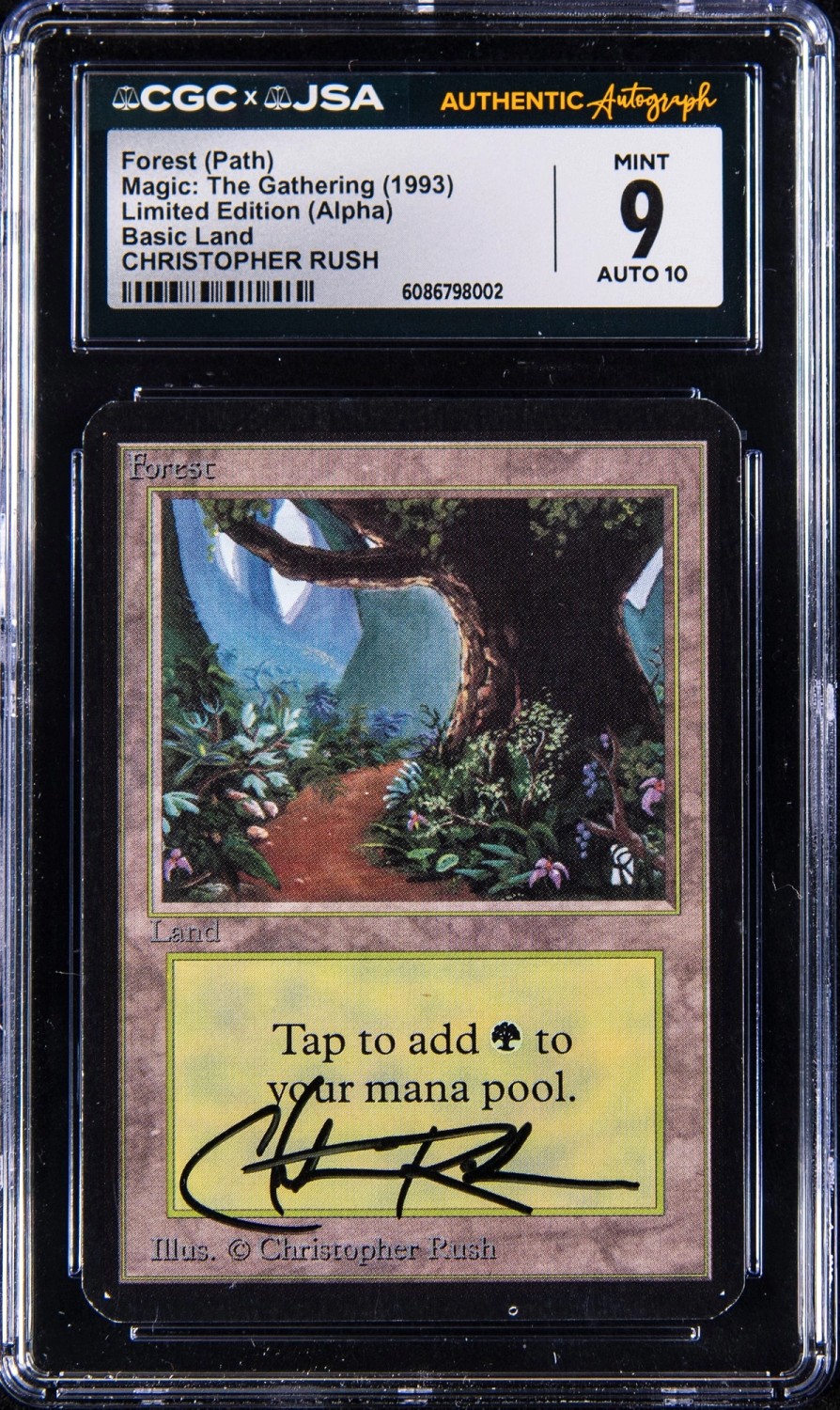Forest (Path)