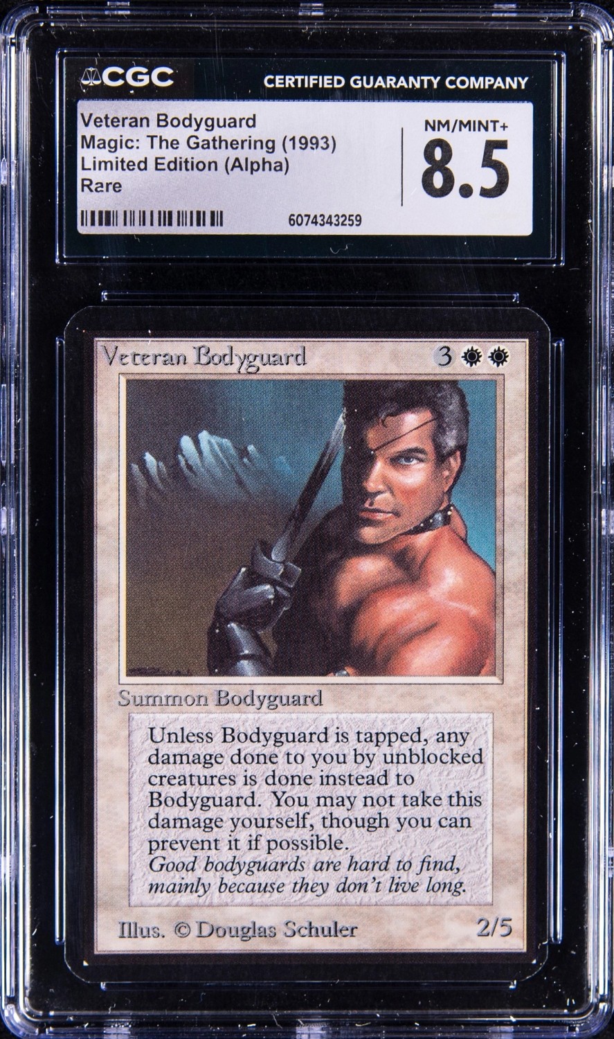 Veteran Bodyguard